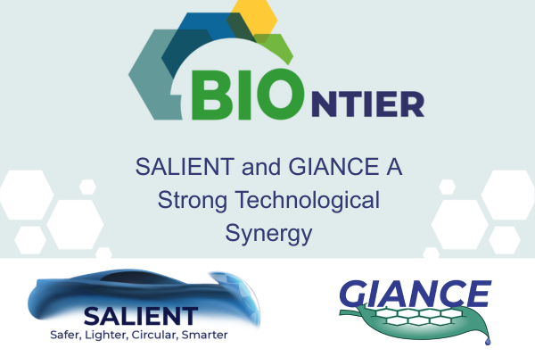 SALIENT and GIANCE Strengthen EU–Egypt Collaboration in Advanced Material