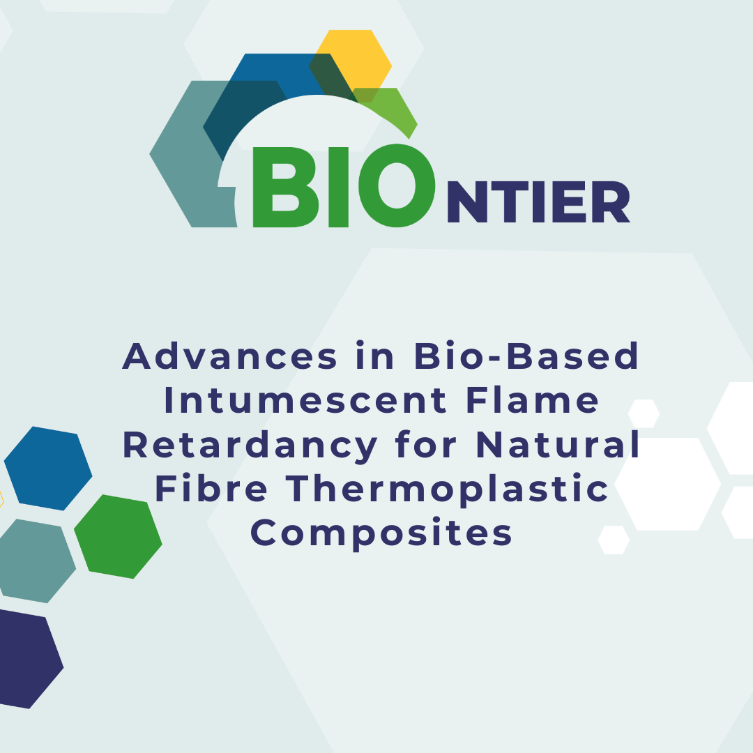 Advances in Bio-Based Intumescent Flame Retardancy for Natural Fibre Thermoplastic Composites