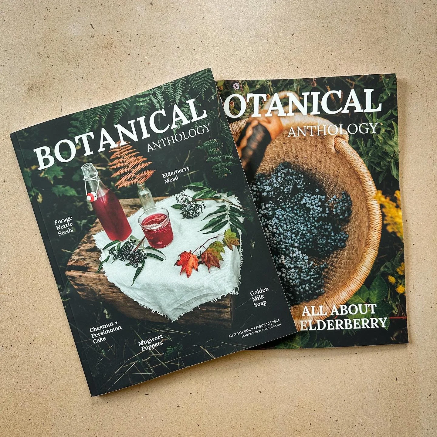 It&rsquo;s that time - the @botanical_anthology autumn publication is now available! This is such a beautiful, timeless collection of seasonal recipes, crafts, folklore, rituals, herbal guidance and more 🍂

This edition has over 40 articles from mor