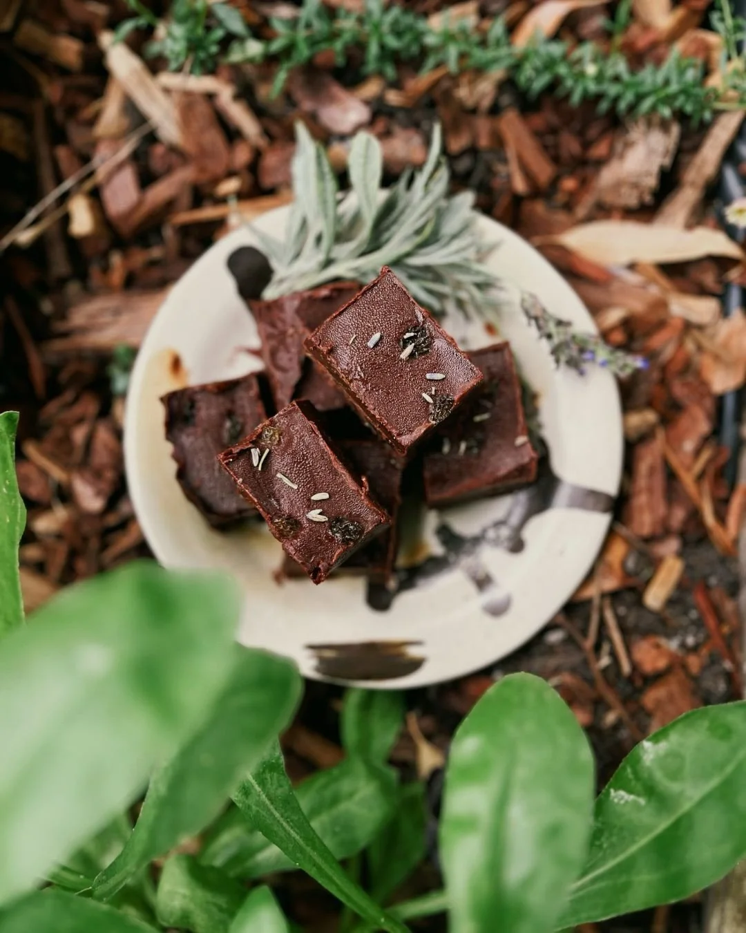 The time is finally here, the All About Cacao booklet is now available from @plantwondercollective and @botanical_anthology!

You may remember me sharing a sneak peek of my fudge a little while back, and now you can find it in this stunning booklet f