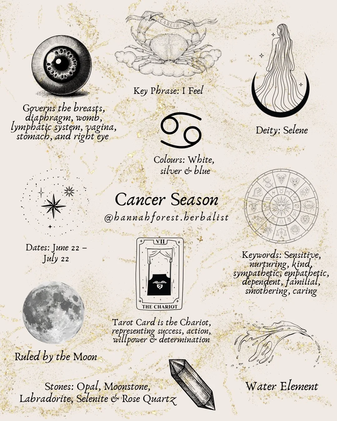 🌀 It&rsquo;s Cancer season 🌀

I love my Cancerian kin. Their watery nature, their deep and ferocious love that they are so willing to share. Their openness and vulnerability, and their loyalty is something to be admired, provided it&rsquo;s in bala