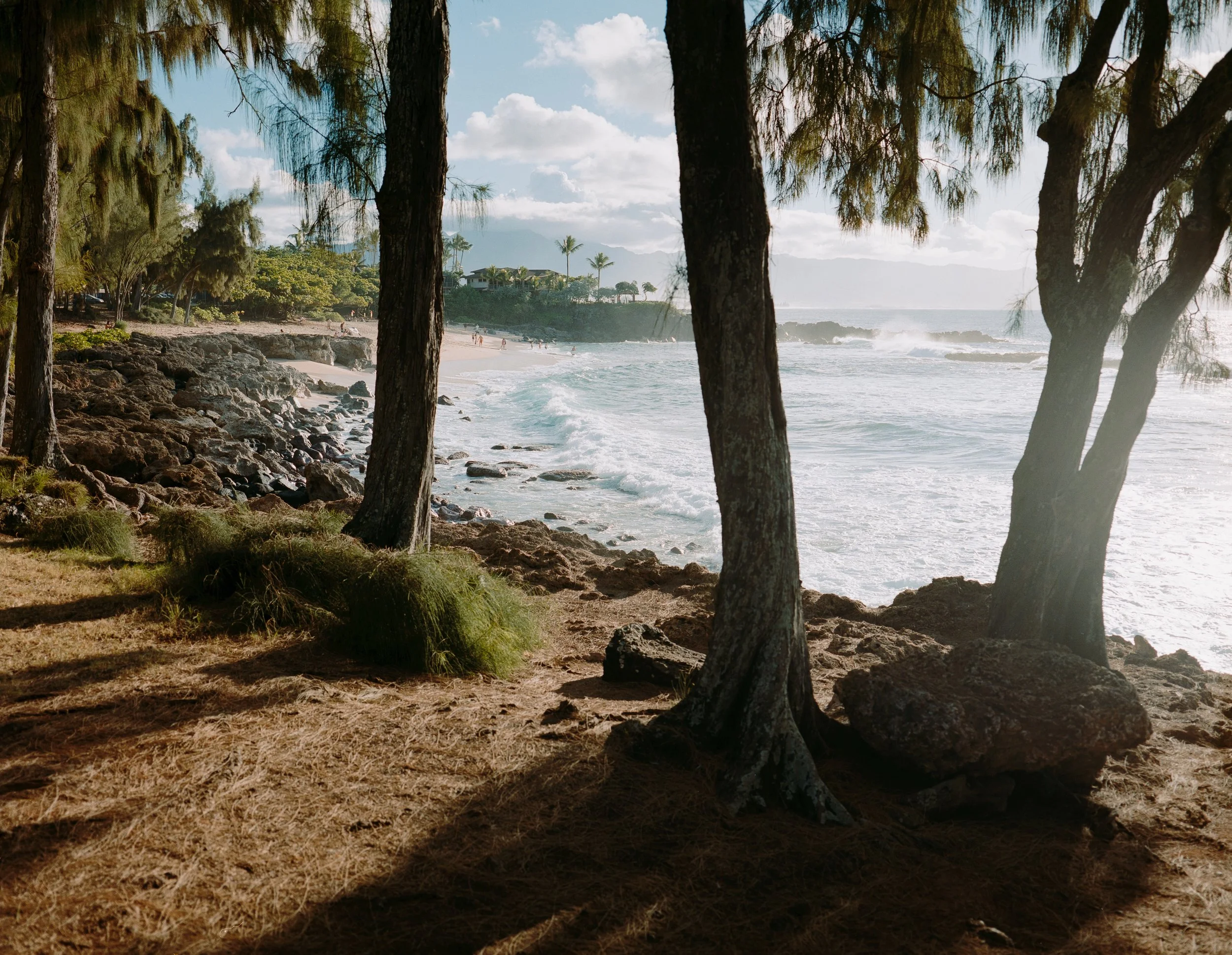 Hawii Ektar (1 of 1).jpg