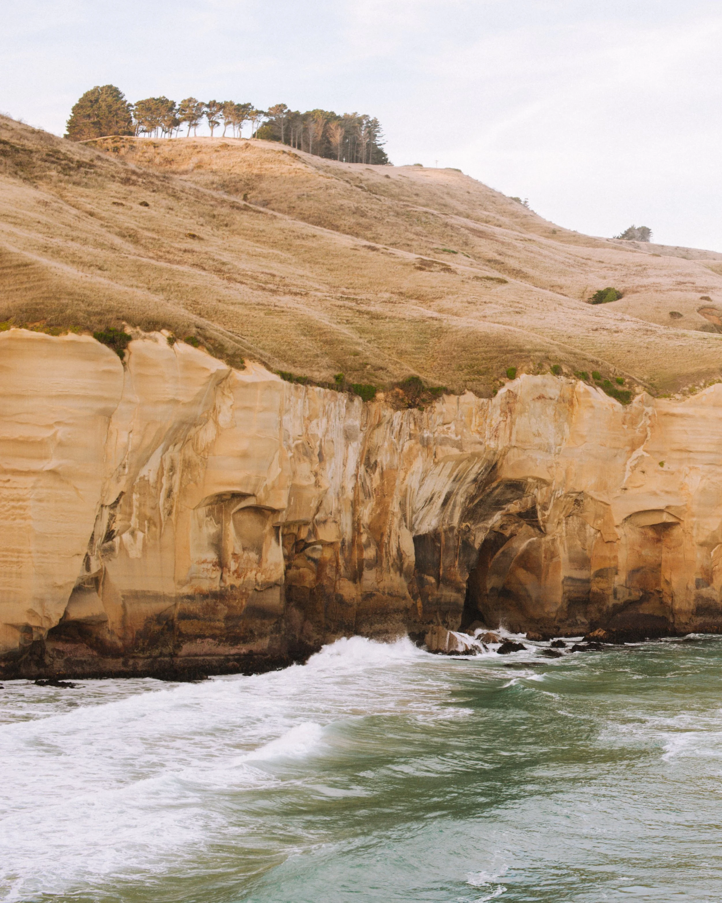 New Zealand Dunedin 3.jpeg