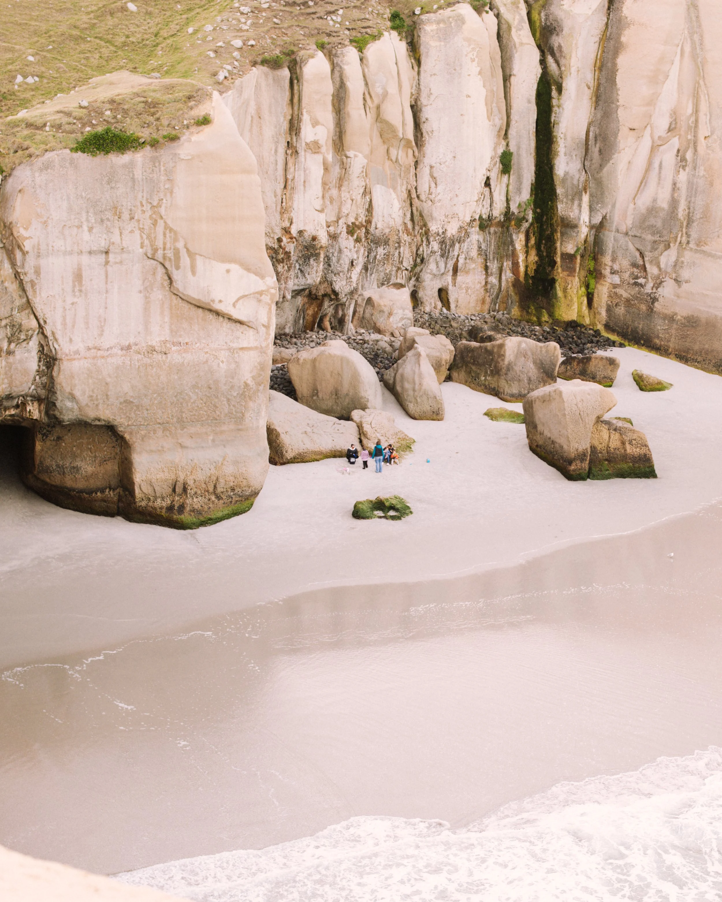 New Zealand Dunedin 2.jpeg