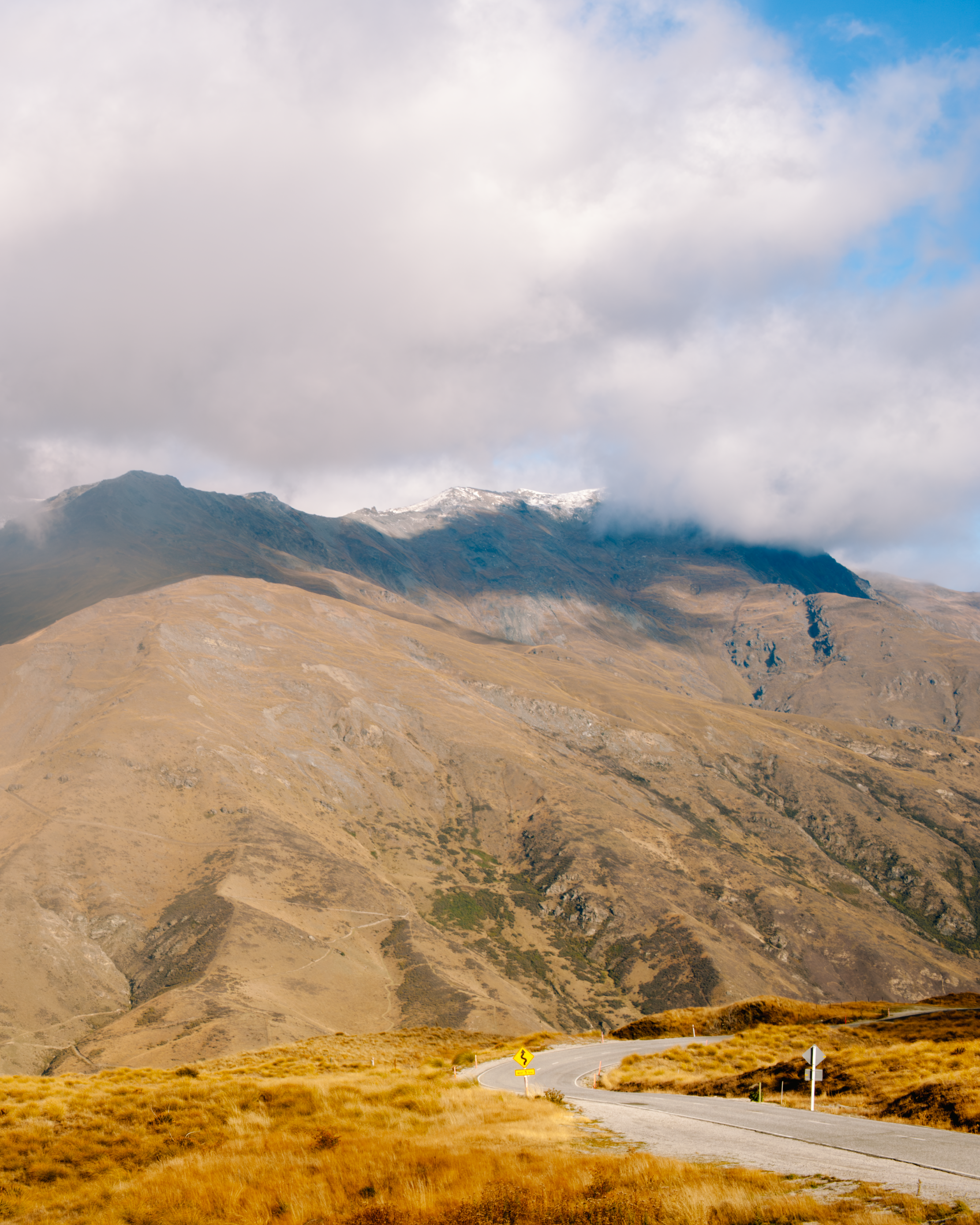 New Zealand Unknown 3.png