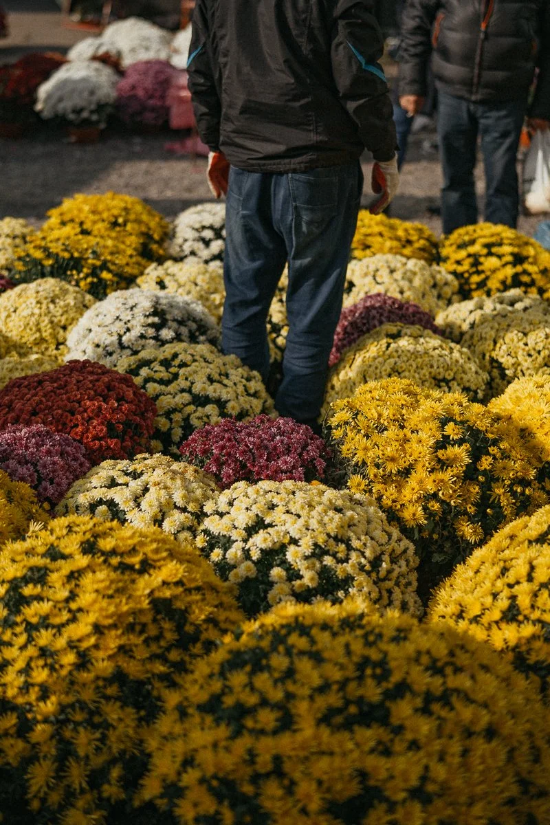 KRAKOW19D1 (13 of 78).jpg