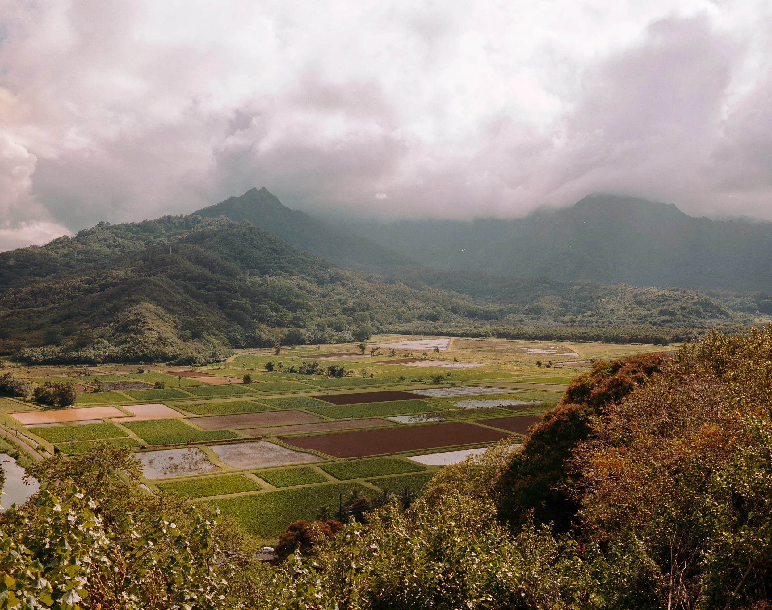 Kauai (3 of 4).jpg