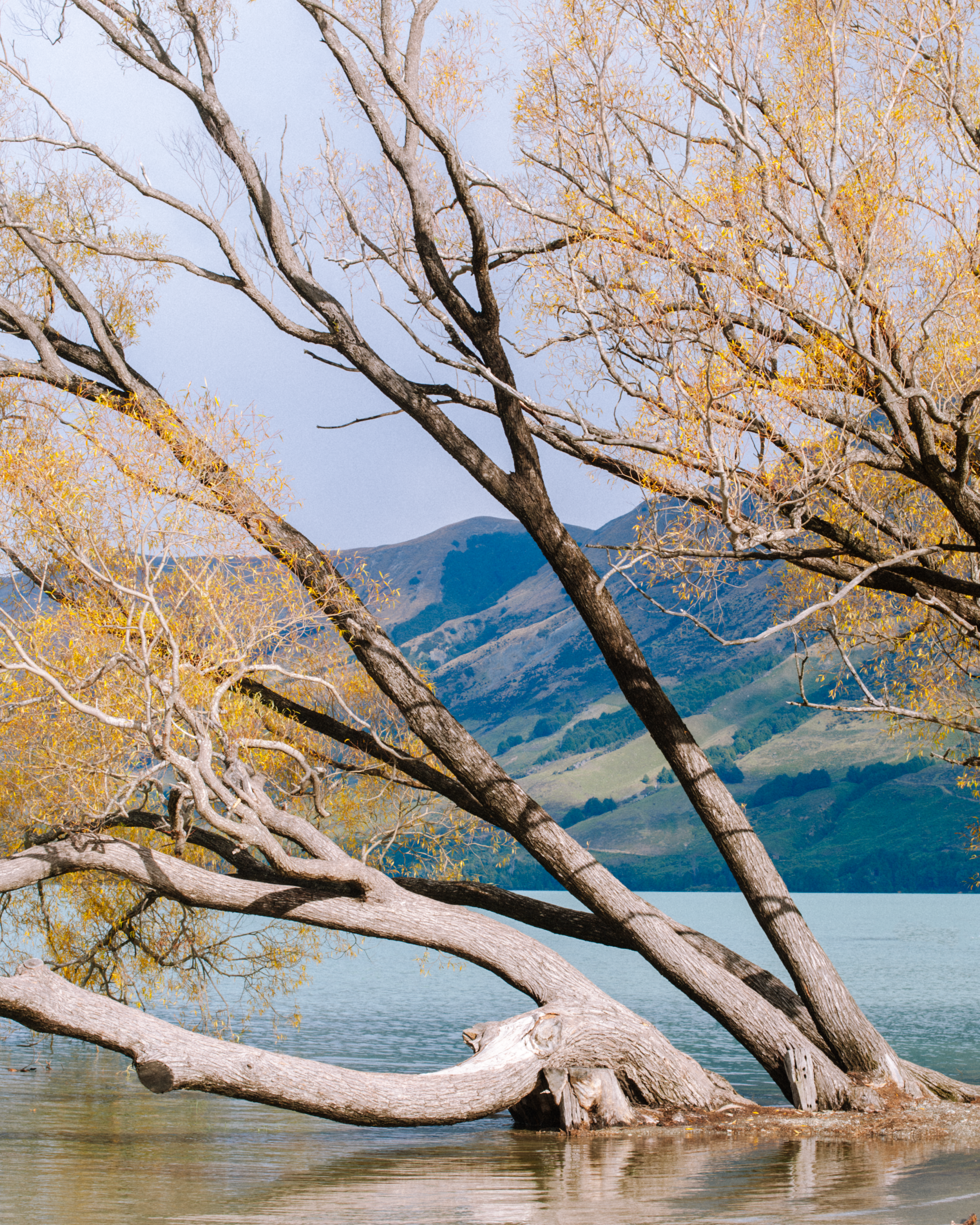 New Zealand Glenarchy 2.png