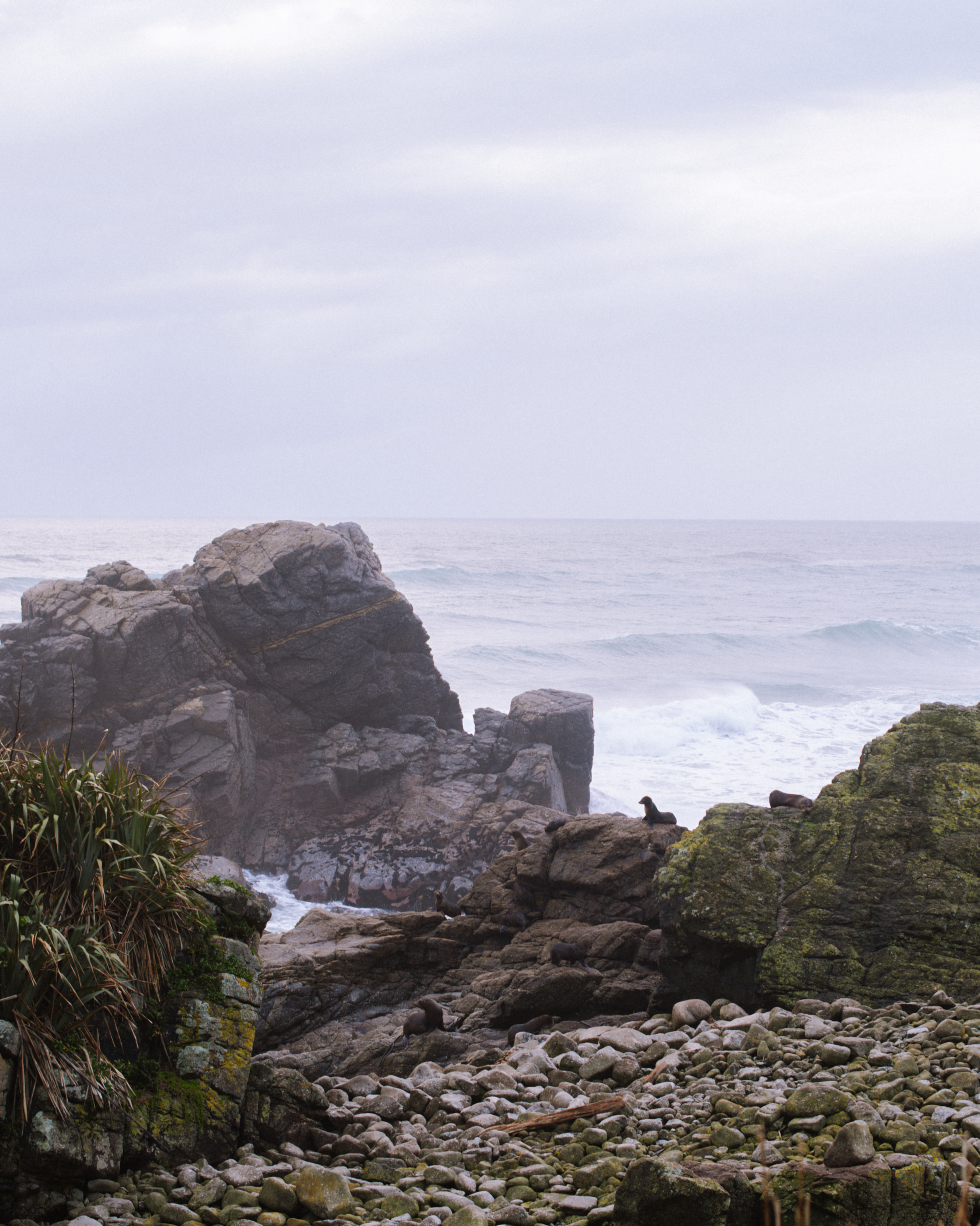 New Zealand 3.png
