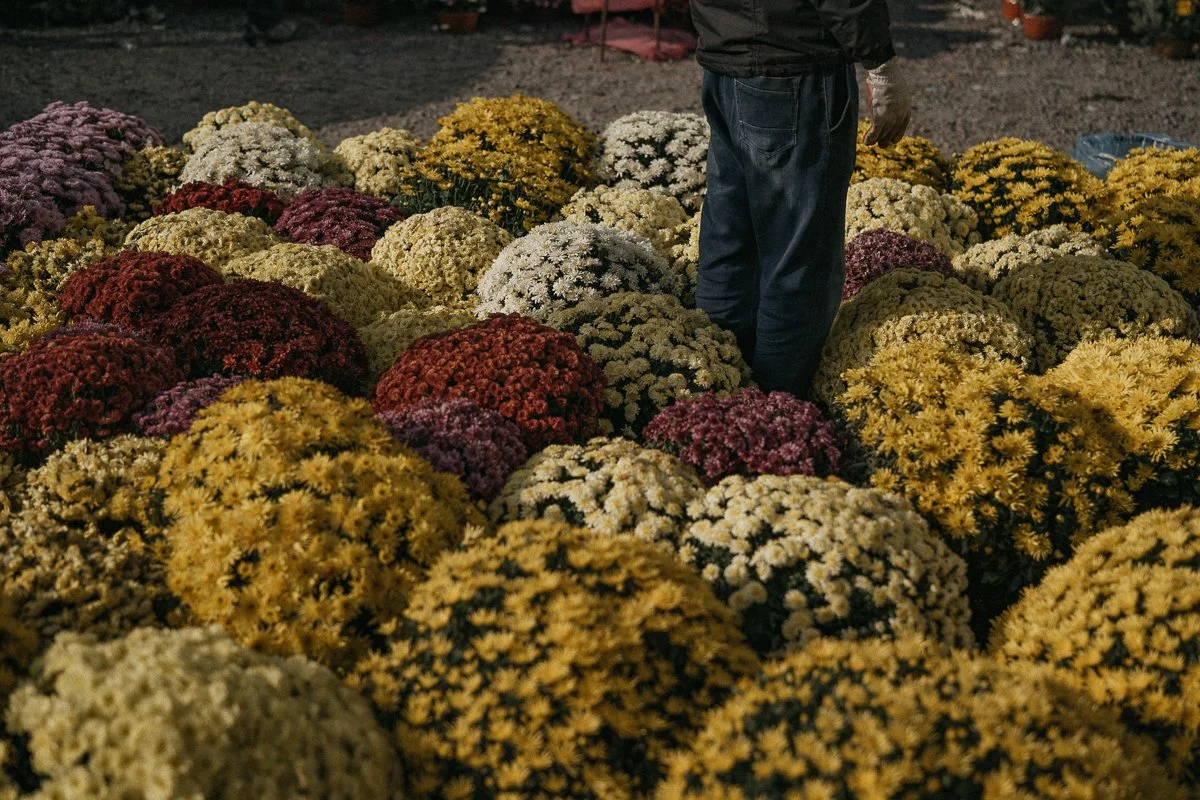 Poland