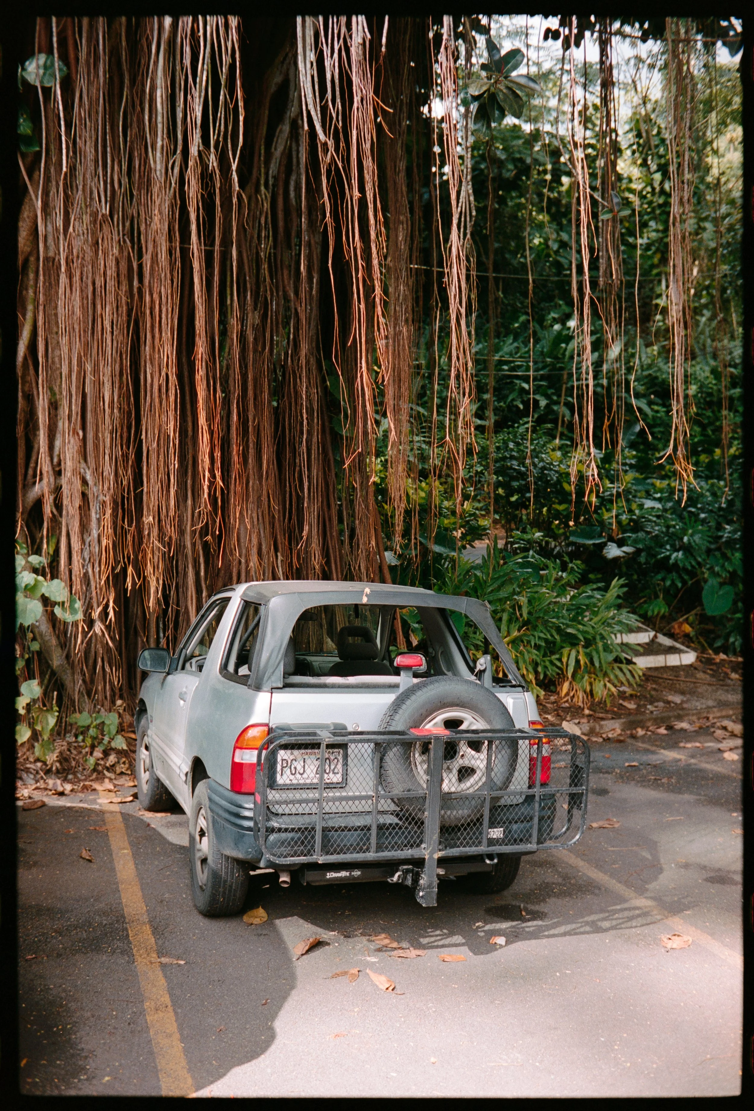 Car Crop (1 of 1).jpg