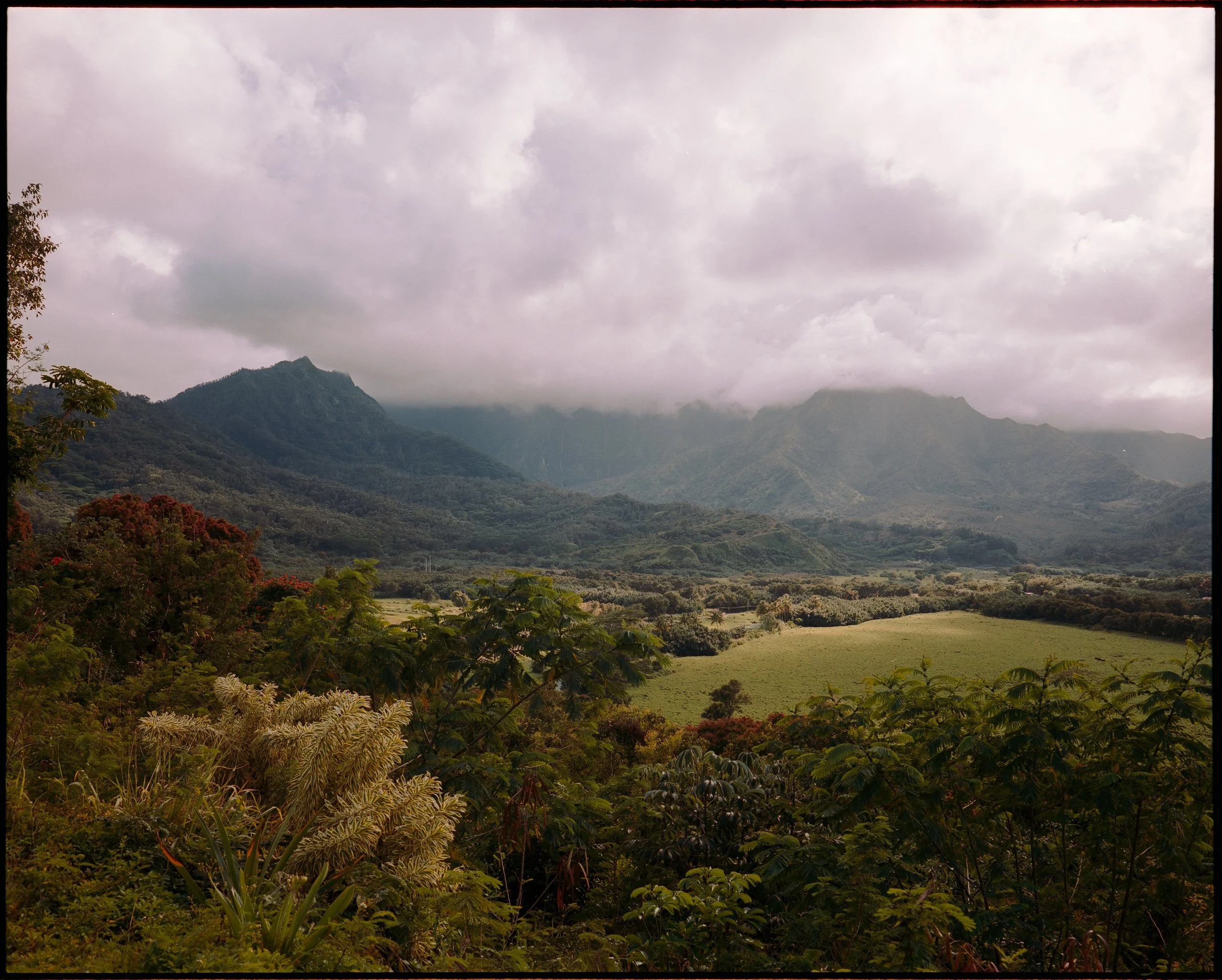 Kauai (4 of 4).jpg