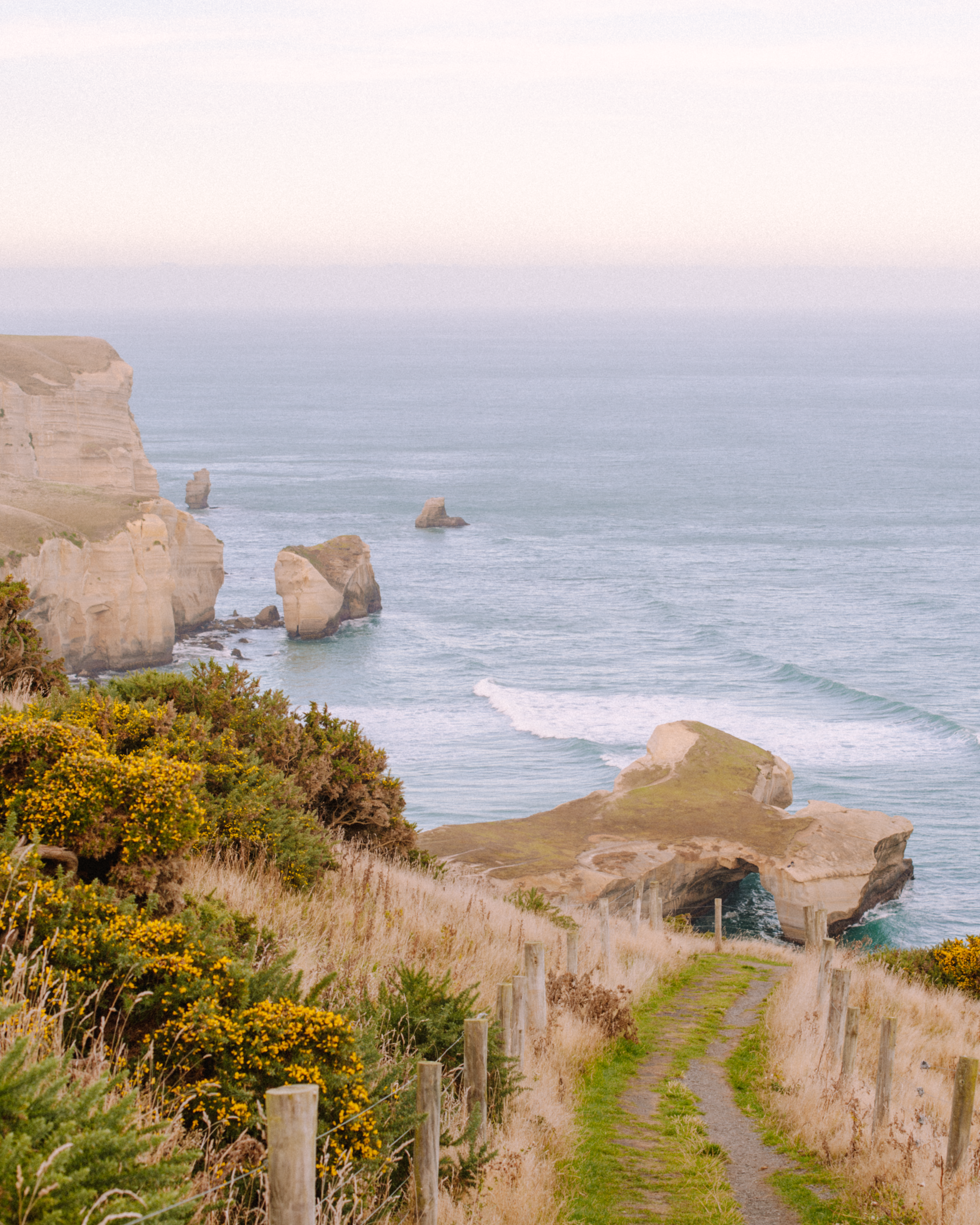 New Zealand Dunedin 5.png