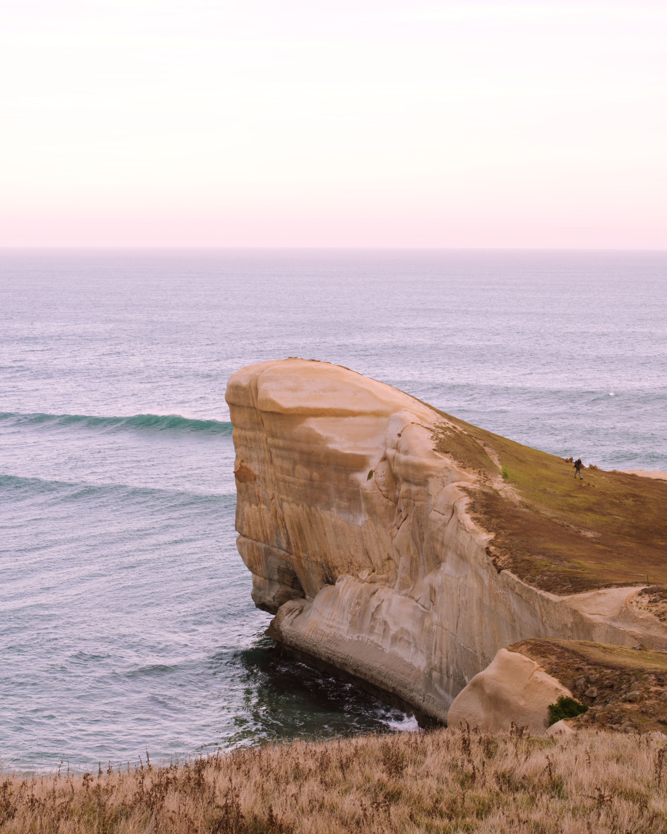 New Zealand Dunedin 4.png