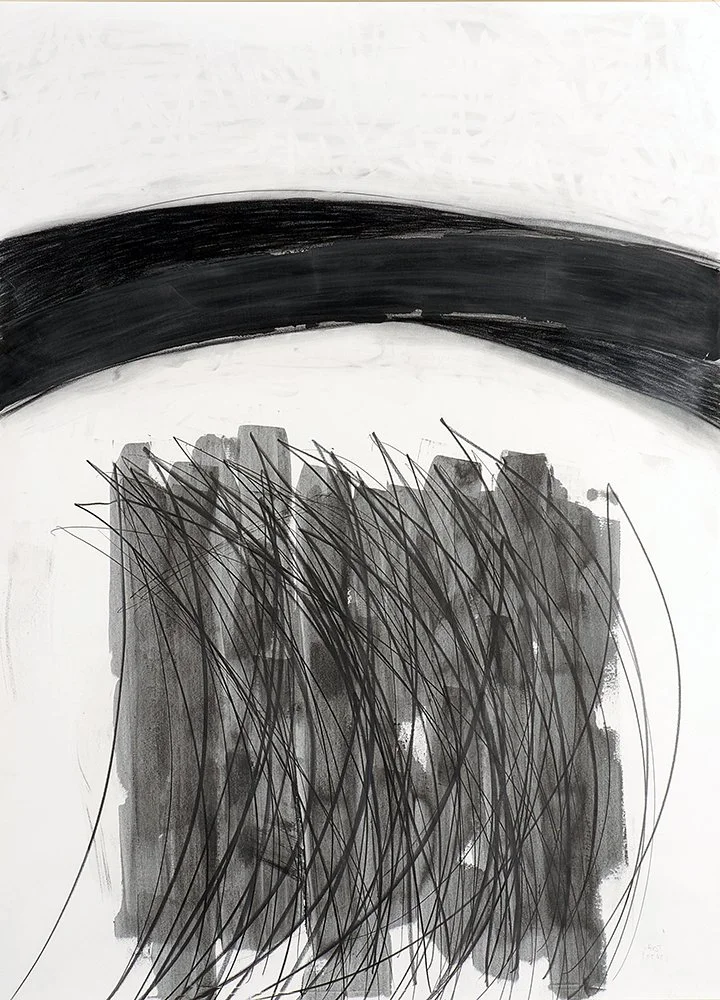 "O.T.", 2009, Bleistift auf Karton, 110 x 130 cm