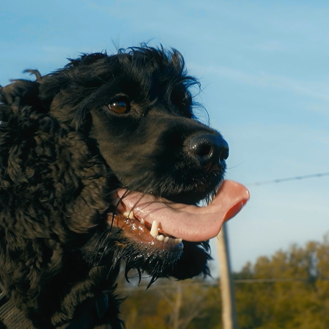 PEAUFINE ATHLETICS - Wanna Run With You