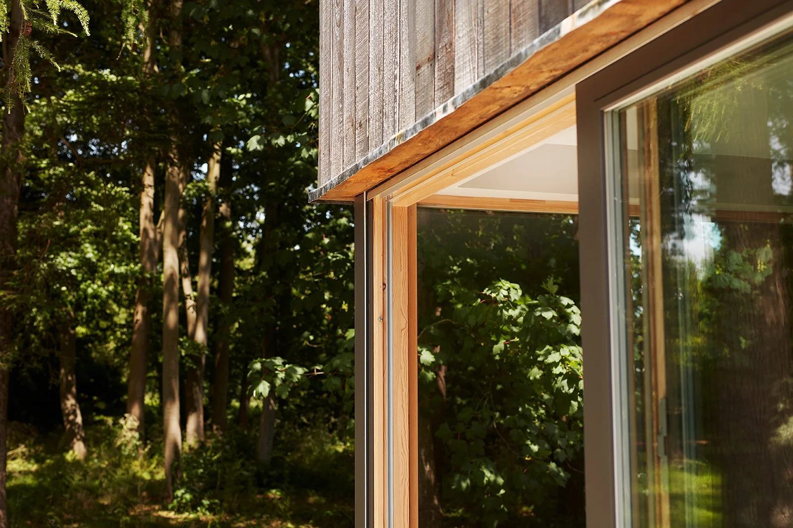 Taw Fitzwilliam Ltd — Close-up architectural detail of a contemporary sustainable house window frame with wooden and metal elements, overlooking a wooded area with trees.