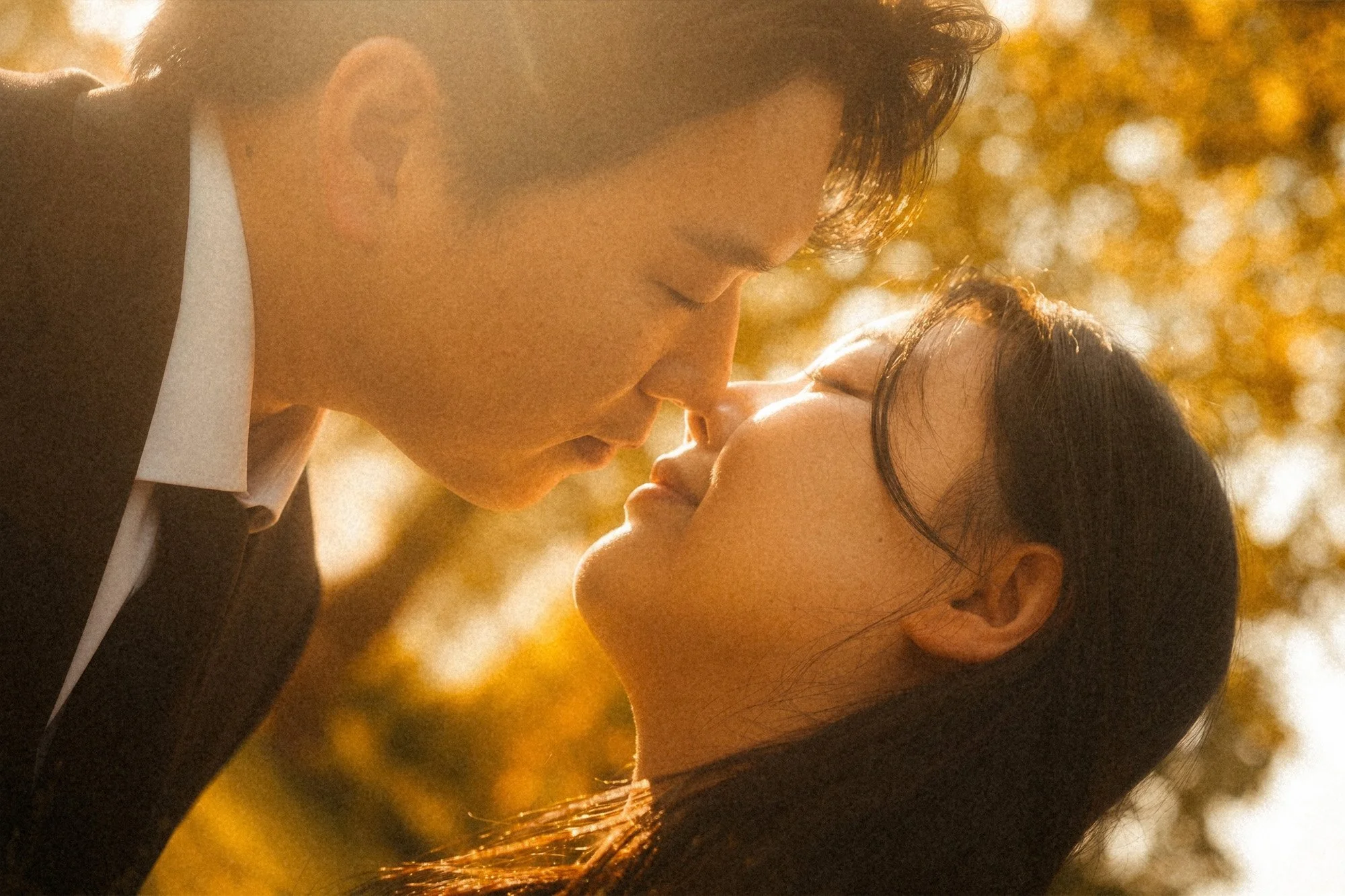 Close-up portrait of a wedding couple about to kiss in warm golden hour sunlight with a soft film grain texture in Potsdam.