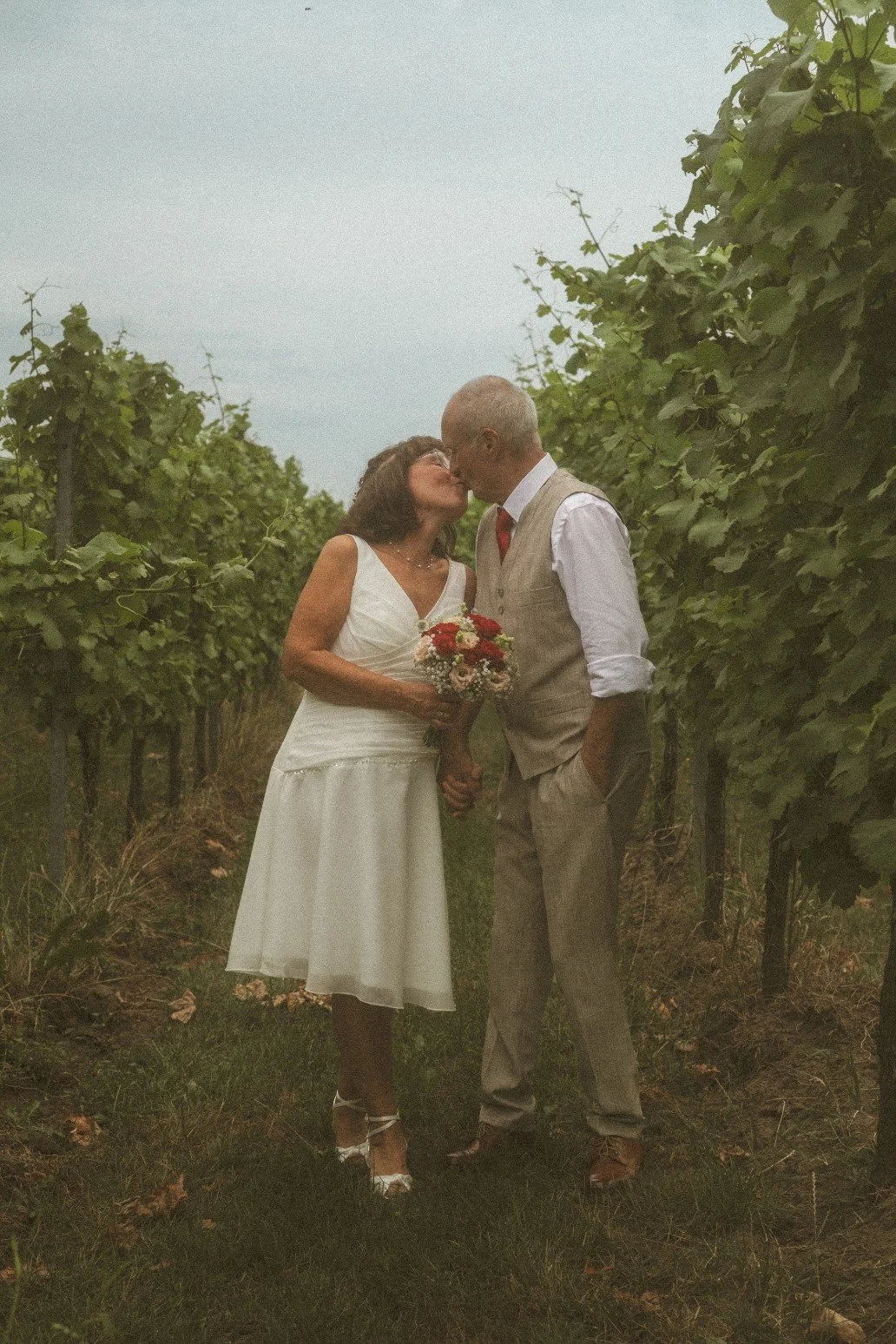 A romantic portrait of the bride and groom kissing while standing between rows of vines in a vineyard.