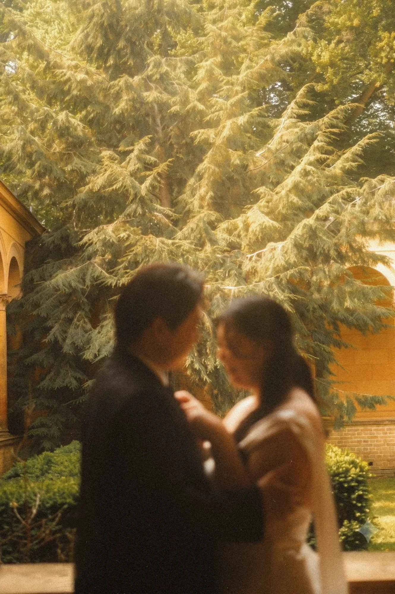 A blurry, artistic photograph of a bride and groom embracing each other during golden hour at a palace in Potsdam with a tree in the background.