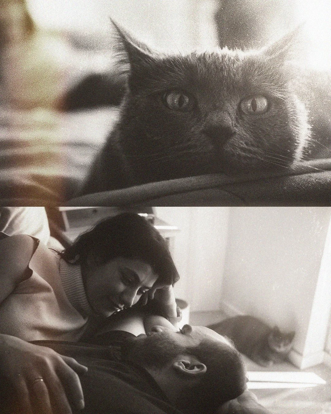 Black and white diptych of a close-up grey cat and a couple lying down together in their Berlin Kreuzberg apartment.