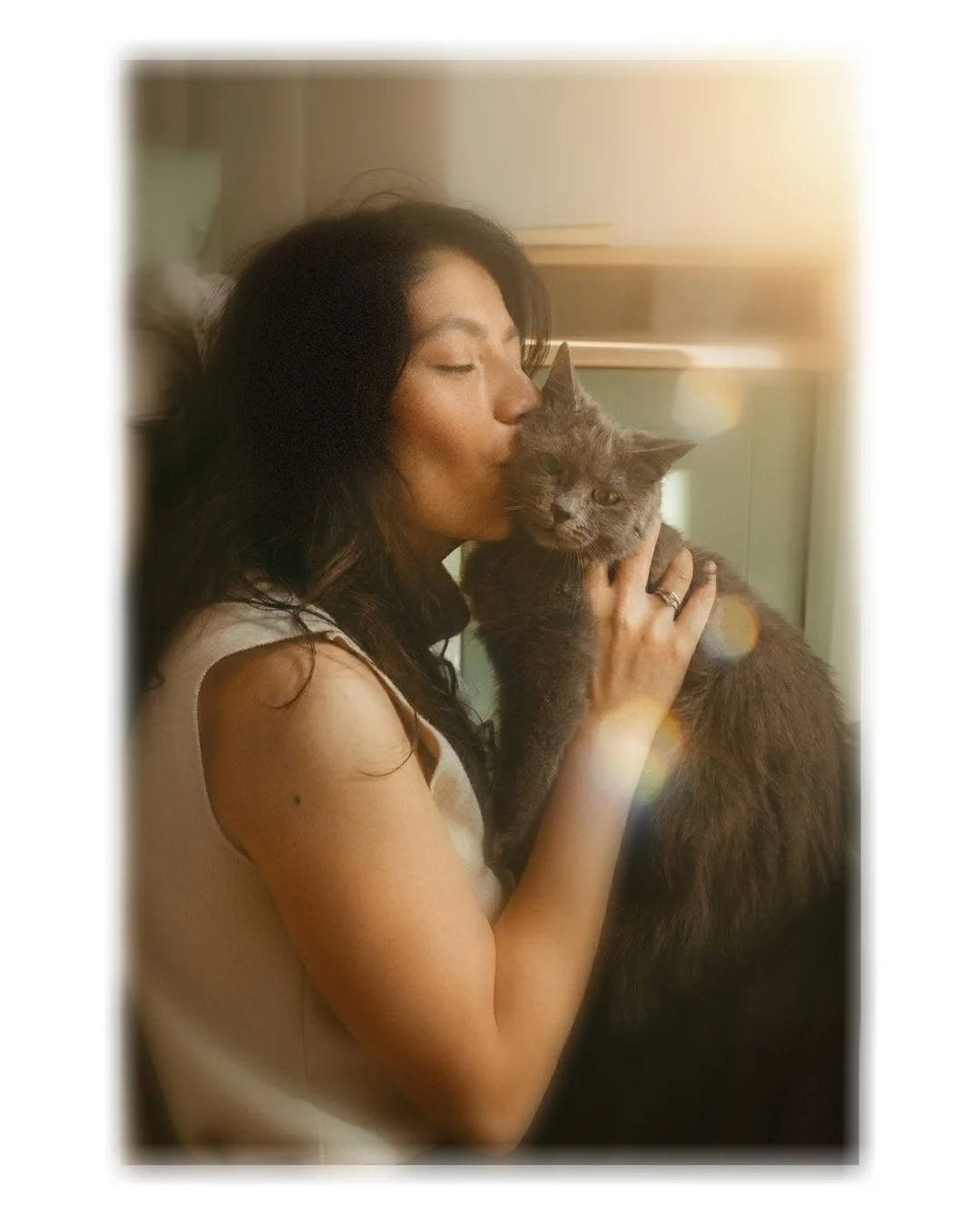 Lifestyle portrait of a woman kissing a grey cat with warm lens flare in a Berlin Kreuzberg apartment.