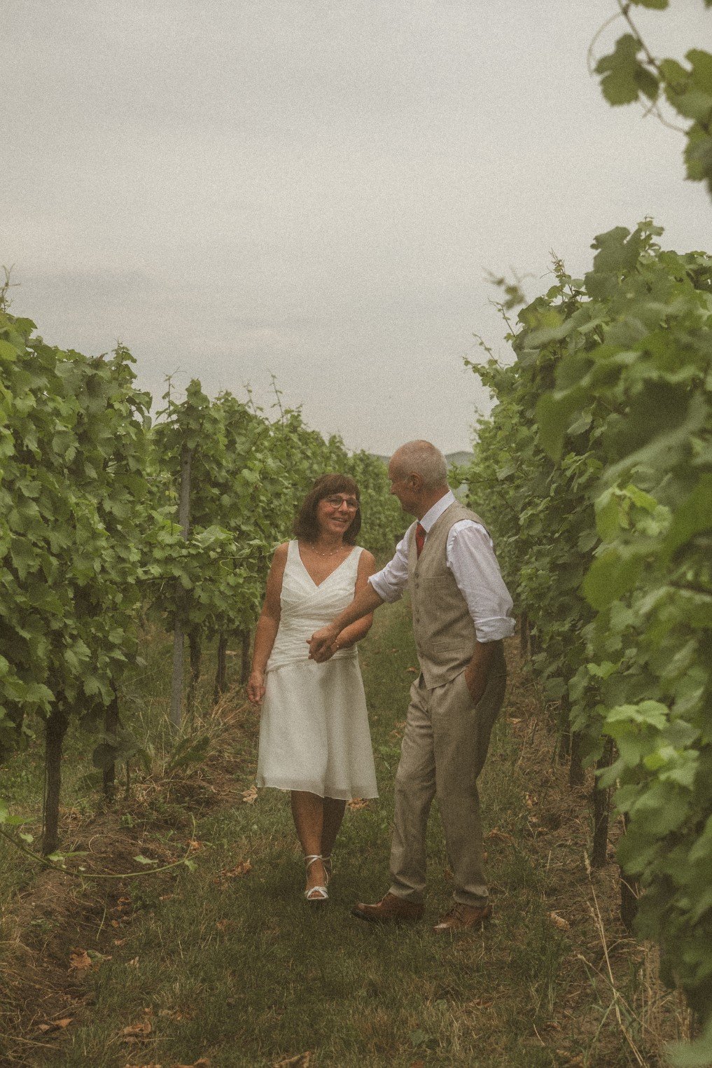 A bride and groom holding hands while walking together through a lush green vineyard.