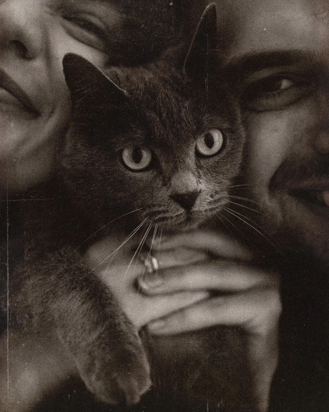 Close-up black and white lifestyle portrait of a couple holding their cat in a Berlin Kreuzberg apartment.