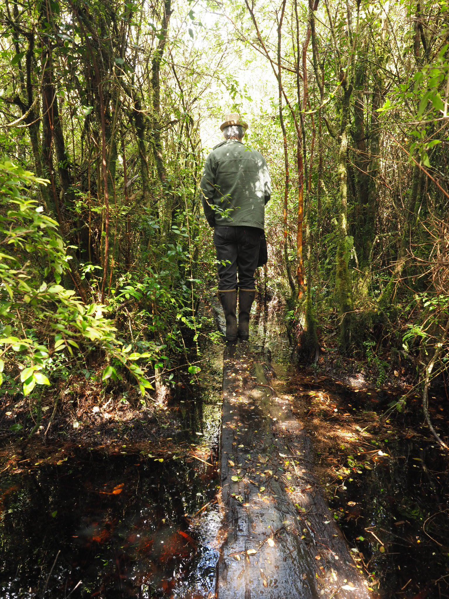 Chiloe Chile Chiloé Island Family Journeys forest.jpg