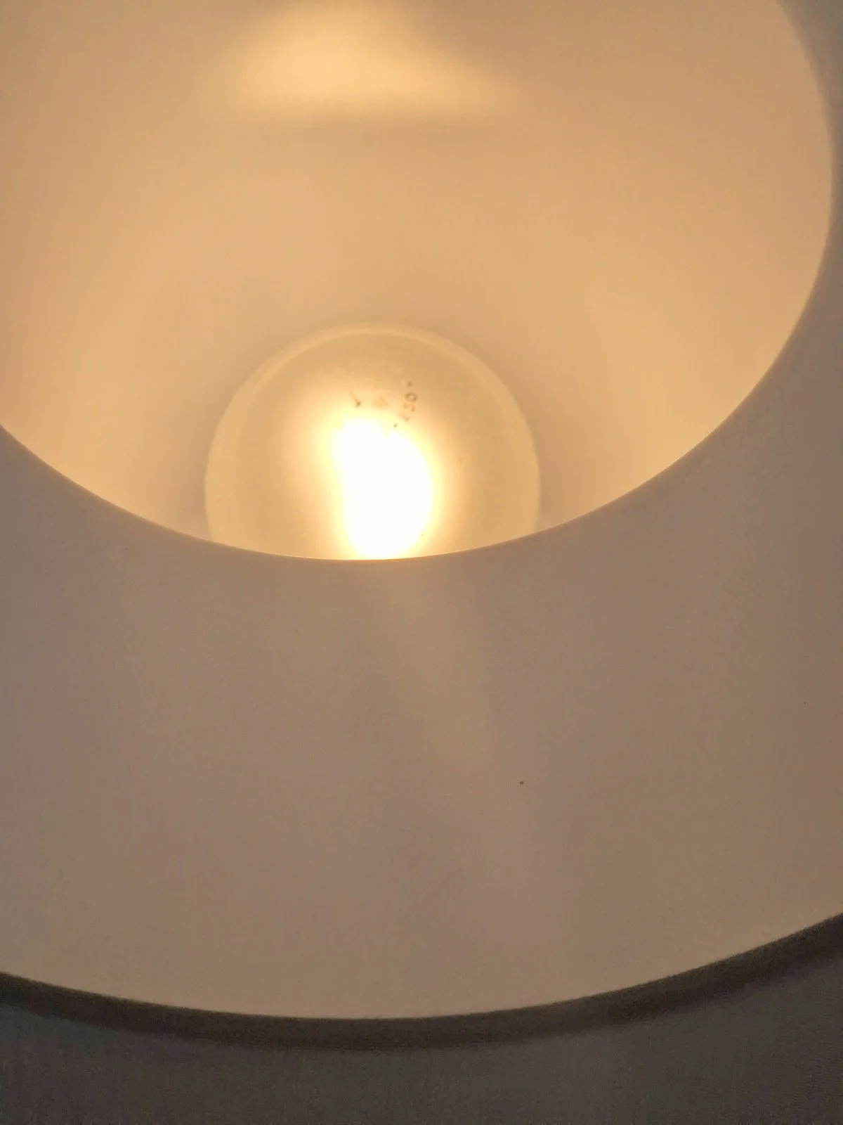 20240302_113808.jpg