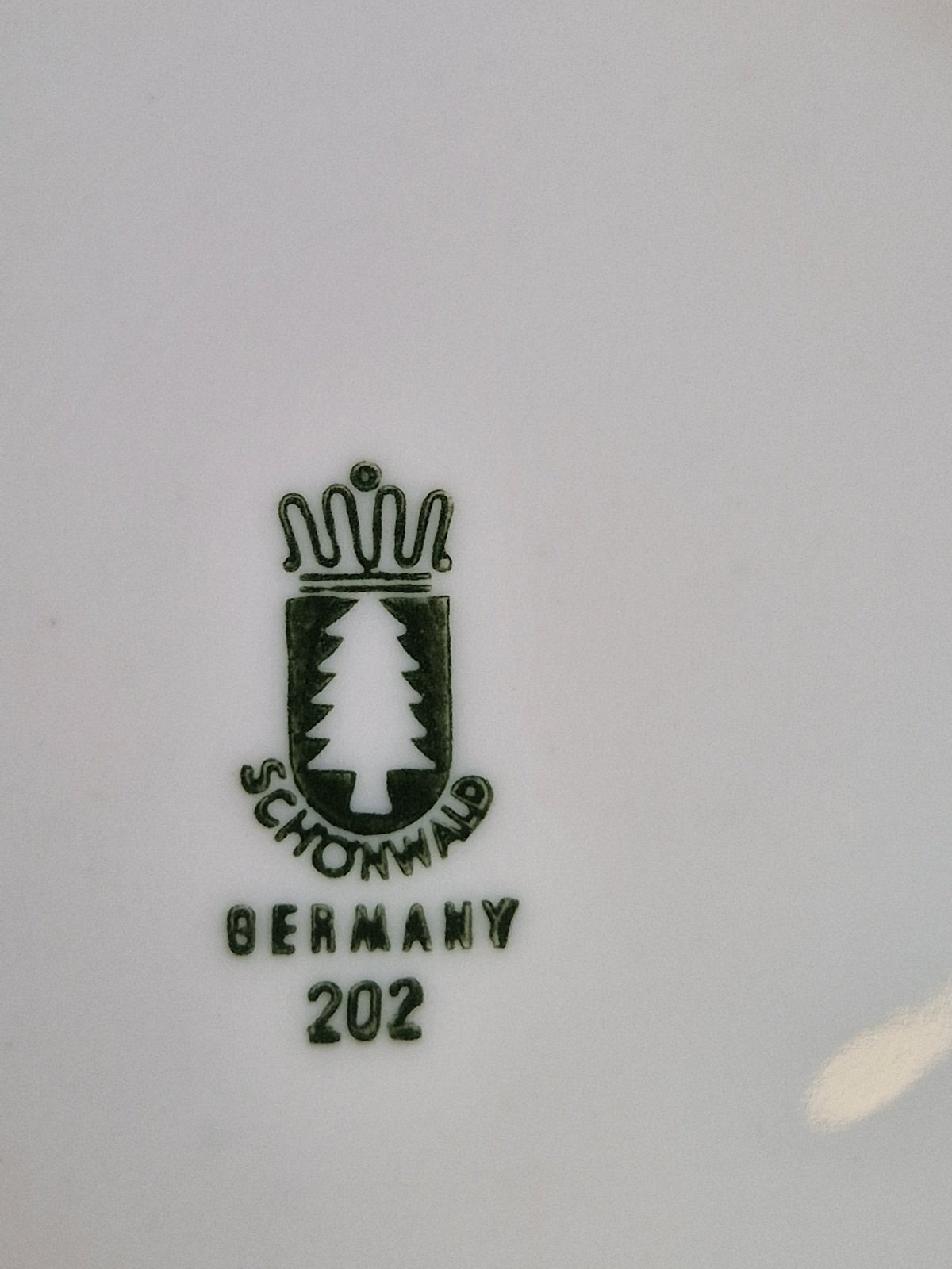20230714_140259.jpg