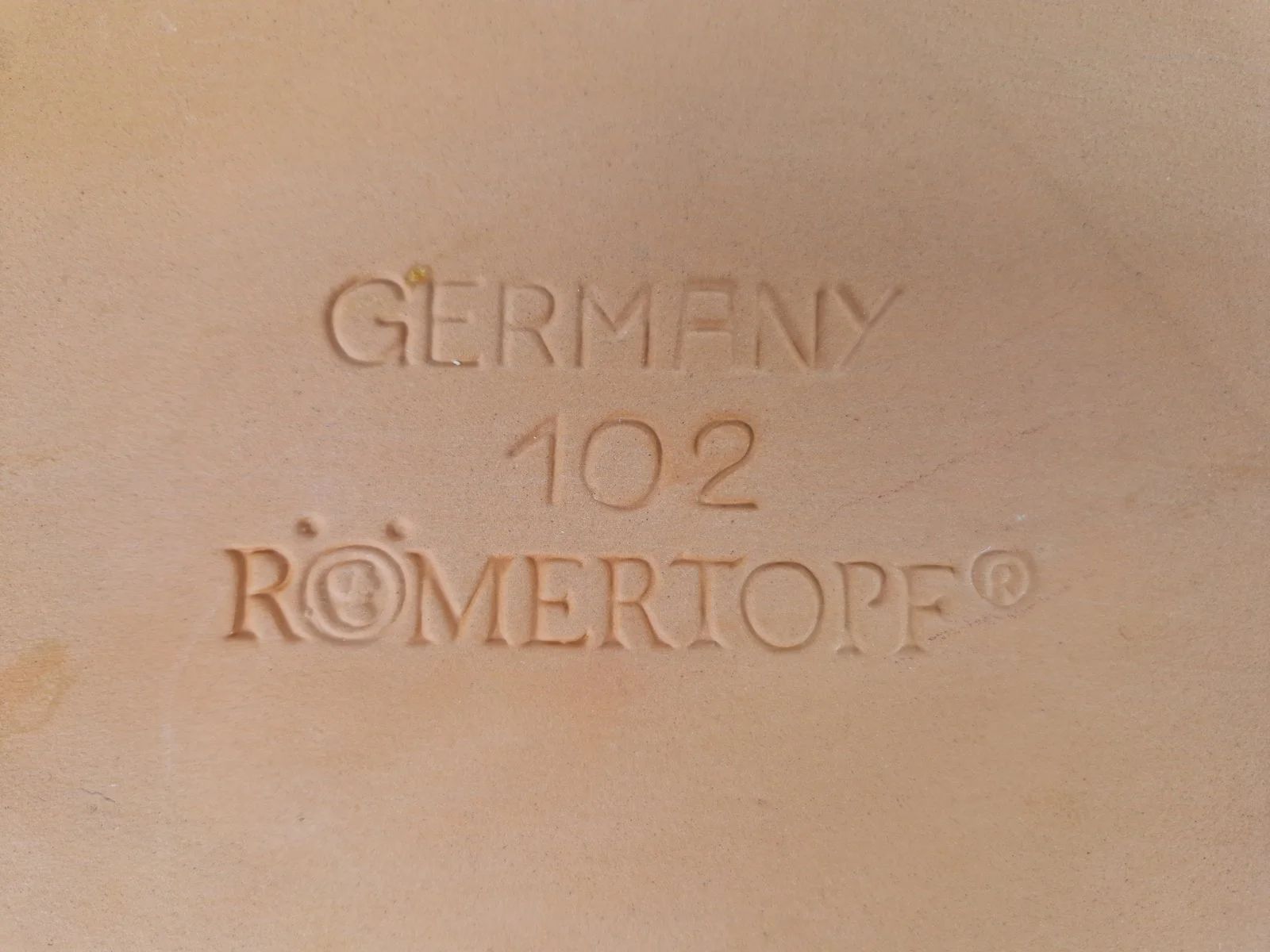 20260515_125459.jpg