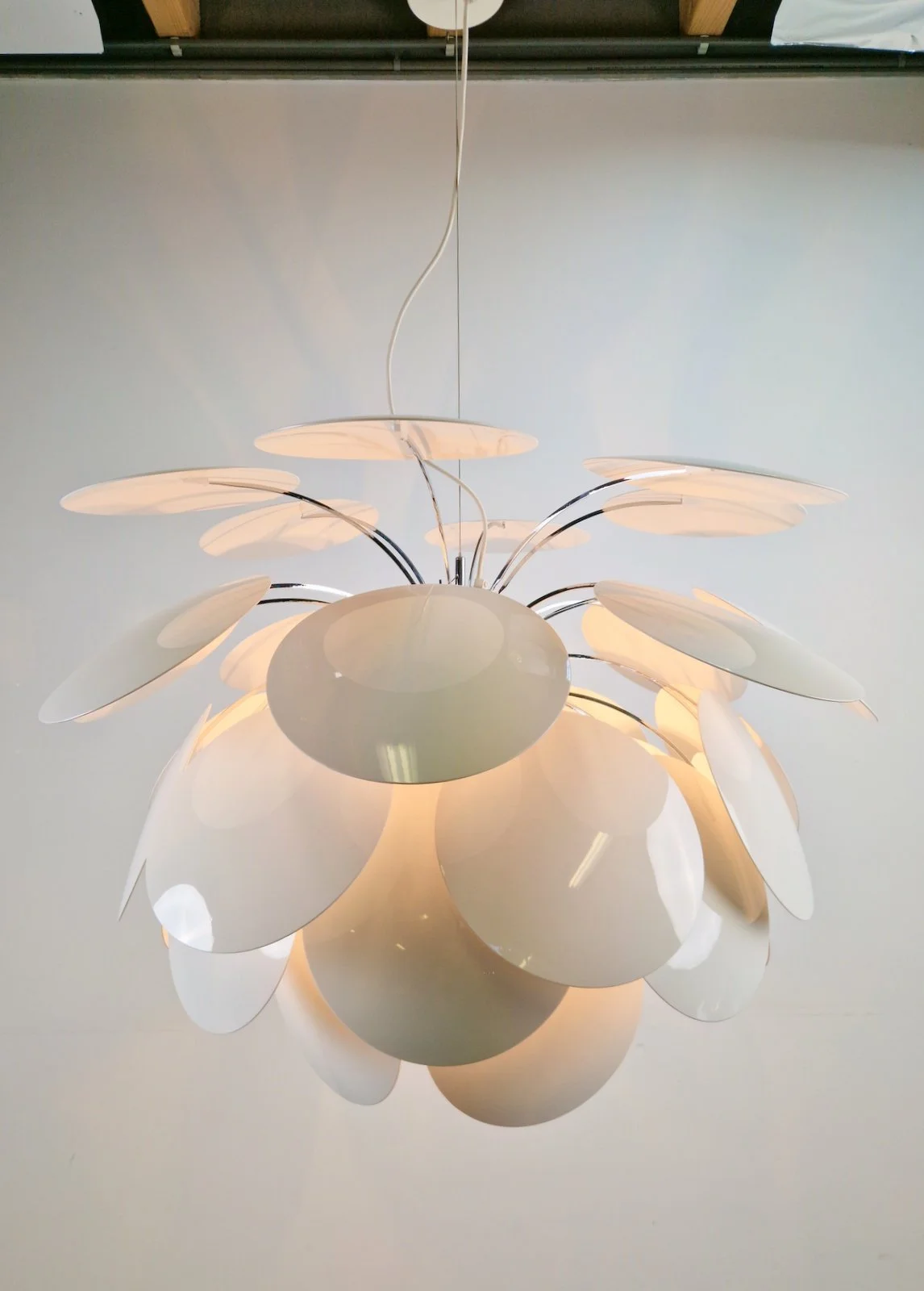 20260502_121708.jpg
