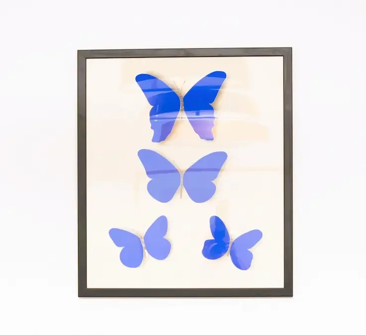 kings cross therapy butterflies