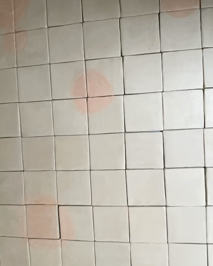 When I&rsquo;m in Italy I like to paint the flowers, fruit and notice all the wildlife within, so here are my flora inspired Kitchen worktop tiles in painted in a few Timelapse&rsquo;s&hellip;I have really enjoyed doing these&hellip;and happily @eggc