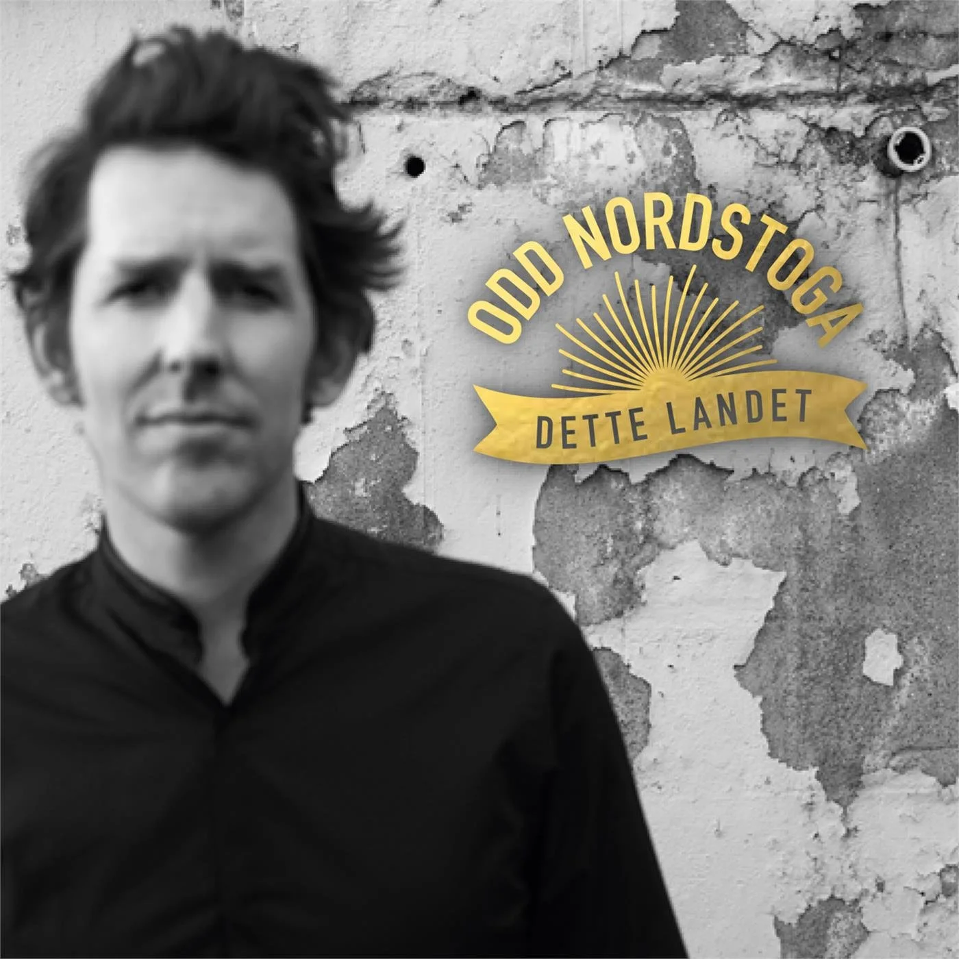 Dette landet (2015)