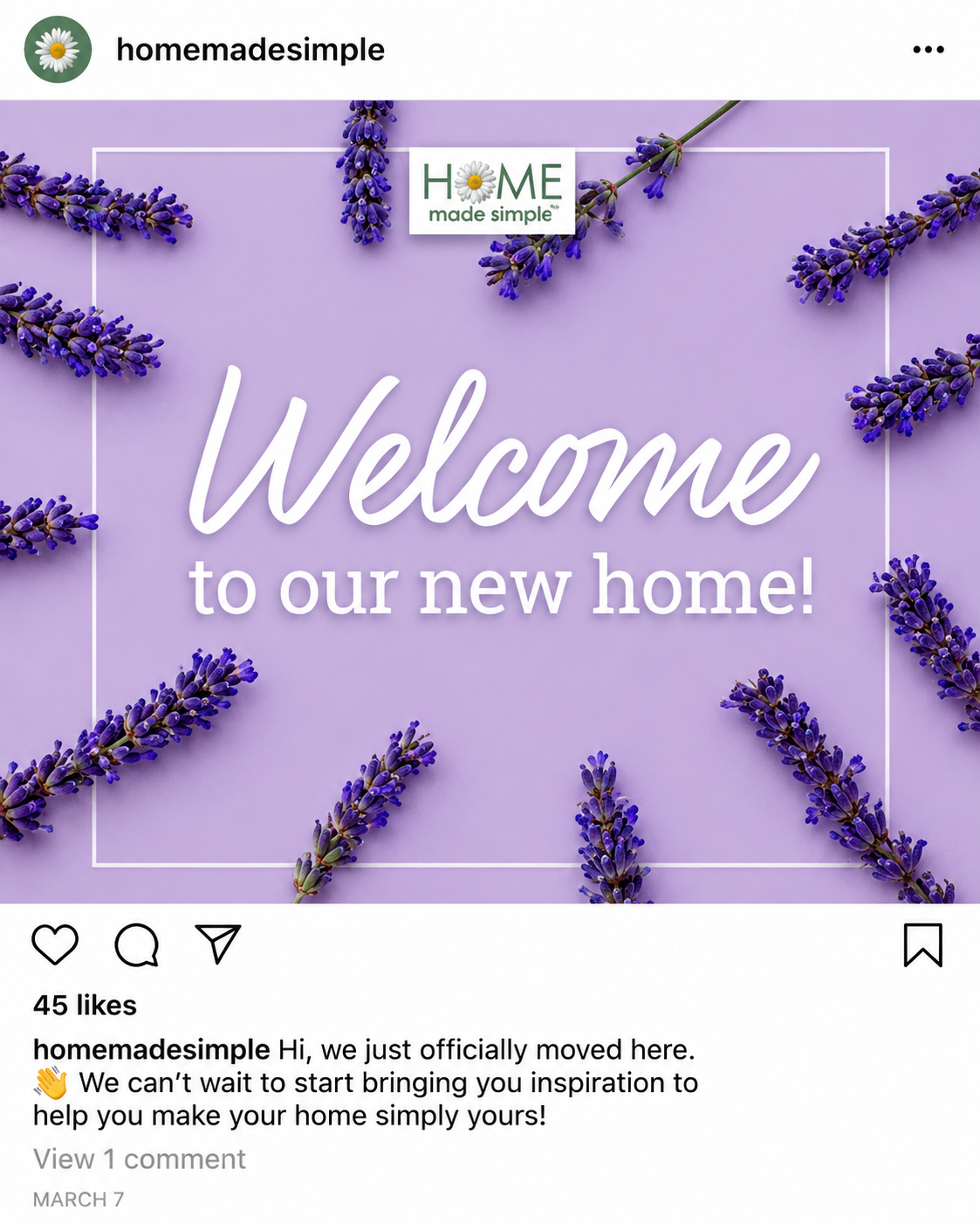 homemadesimple-instagram-01.PNG