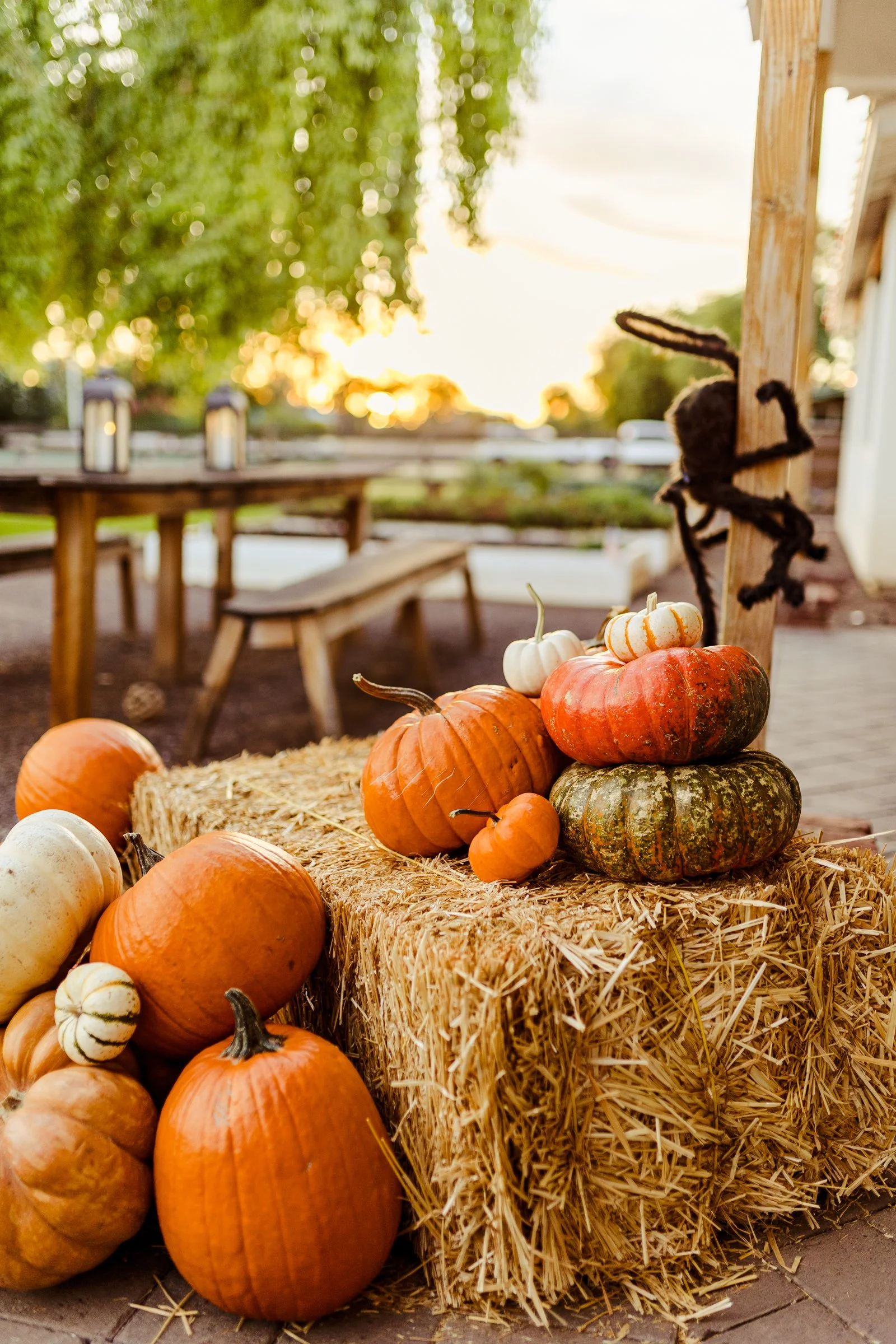 Jillian Rivera Photography-9509.jpg
