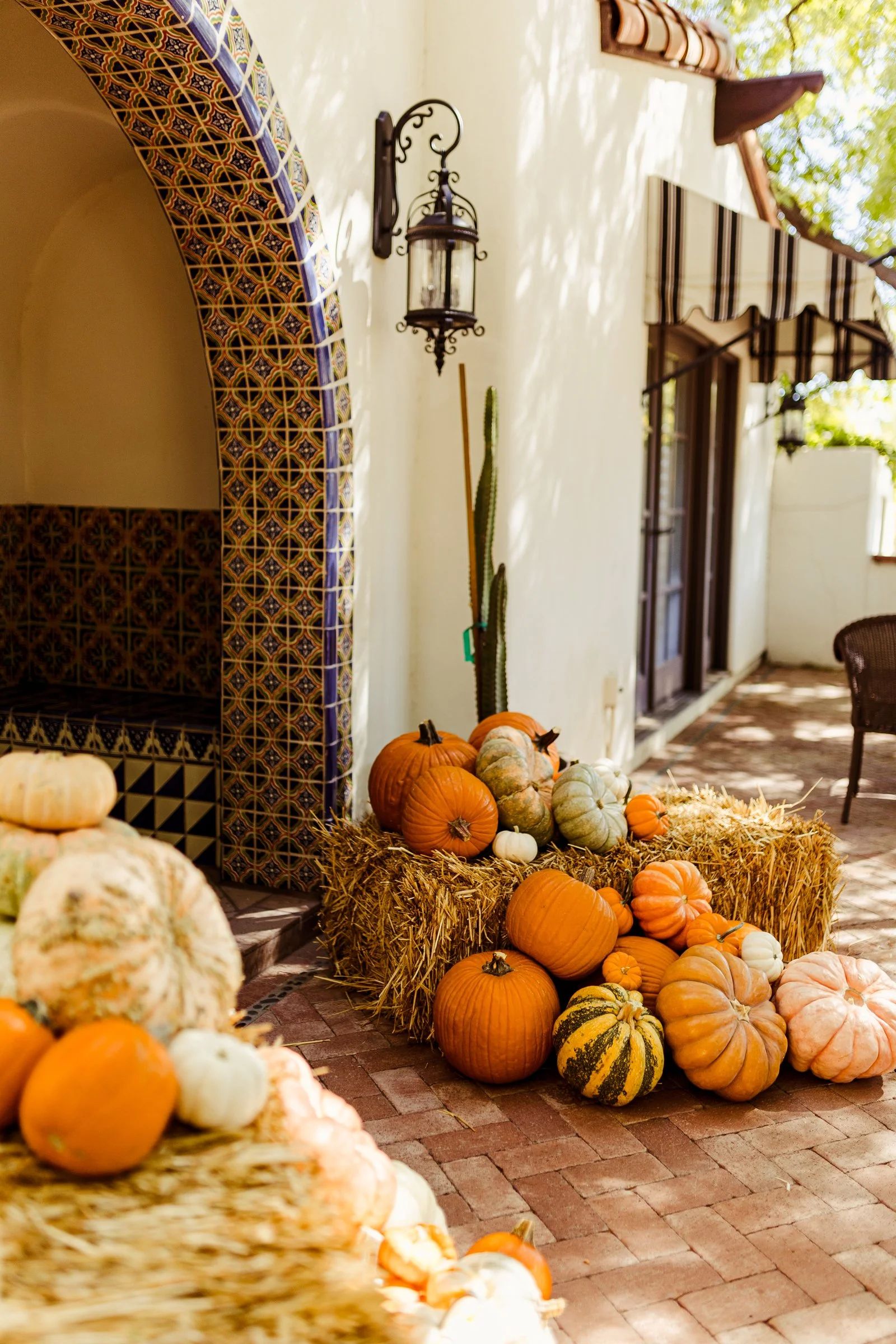 Jillian Rivera Photography-6861.jpg