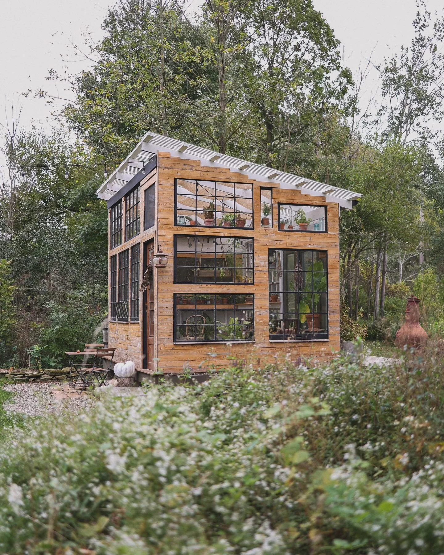 Capturing the daily moments so that they don&rsquo;t go unnoticed ❤️ 

#diy #diyprojects #diygreenhouse #salvagematerials #salvagebuild #greenhouse #greenhouseinteriors #greenhouselife #homedesign #diyproject #garden  #summergarden #gardeninspiration