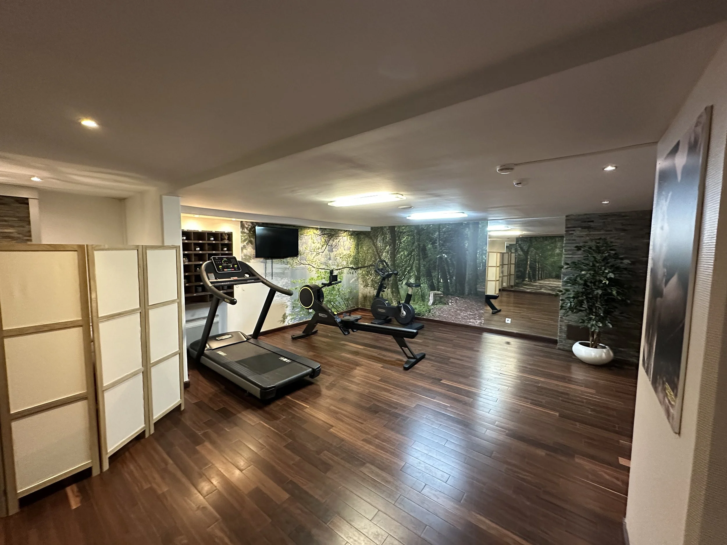 Salle de sport avec tapis de course, vélo d'appartement, mur décoré d'une fresque forêt, et un grand miroir, plancher en bois, et une plante en pot.