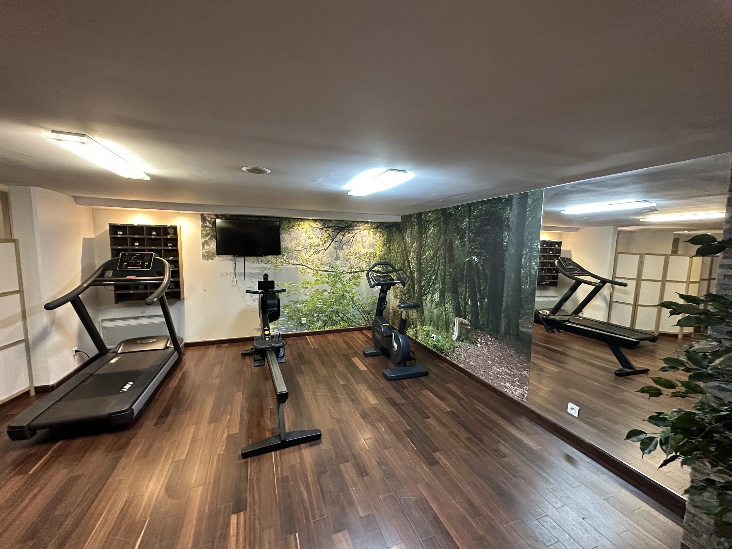 Salle de sport avec tapis roulant, vélo d'exercice, et un mur avec une grande photo de forêt