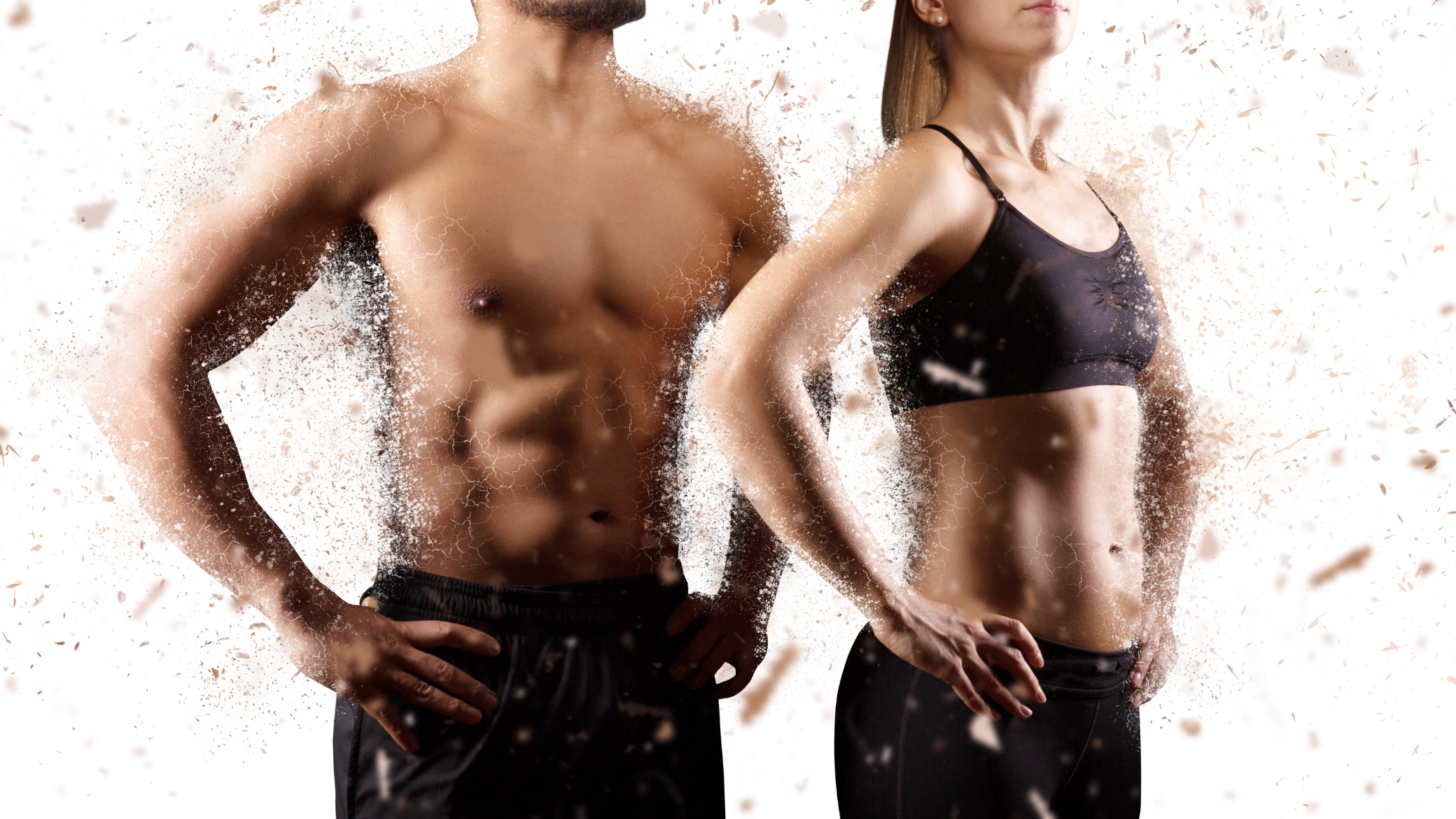 muscle haut du corps