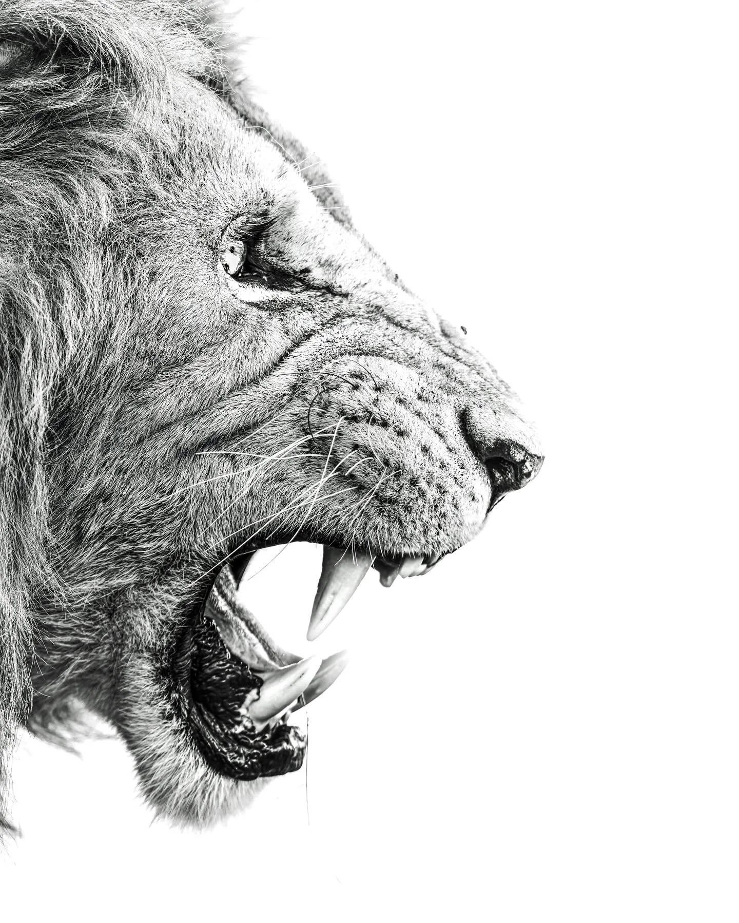 Mercury entered its pre-retrograde shadow on June 29. Though the retrograde won&rsquo;t fully begin until July 18, the work starts now&mdash;quietly, subtly, and often internally.

This retrograde falls in Leo, a sign that governs self-expression, id