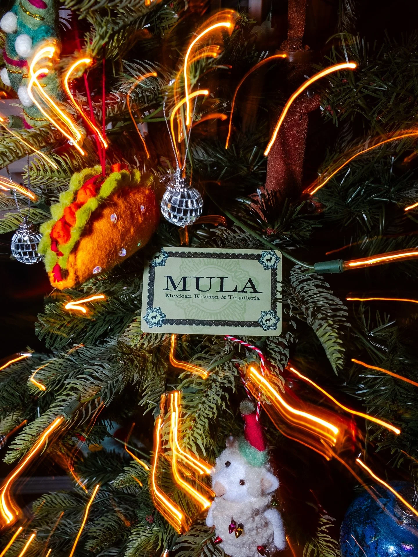 A sign from the universe for all the last minute shoppers out there. MULA gift cards are available for online and in-store purchase.