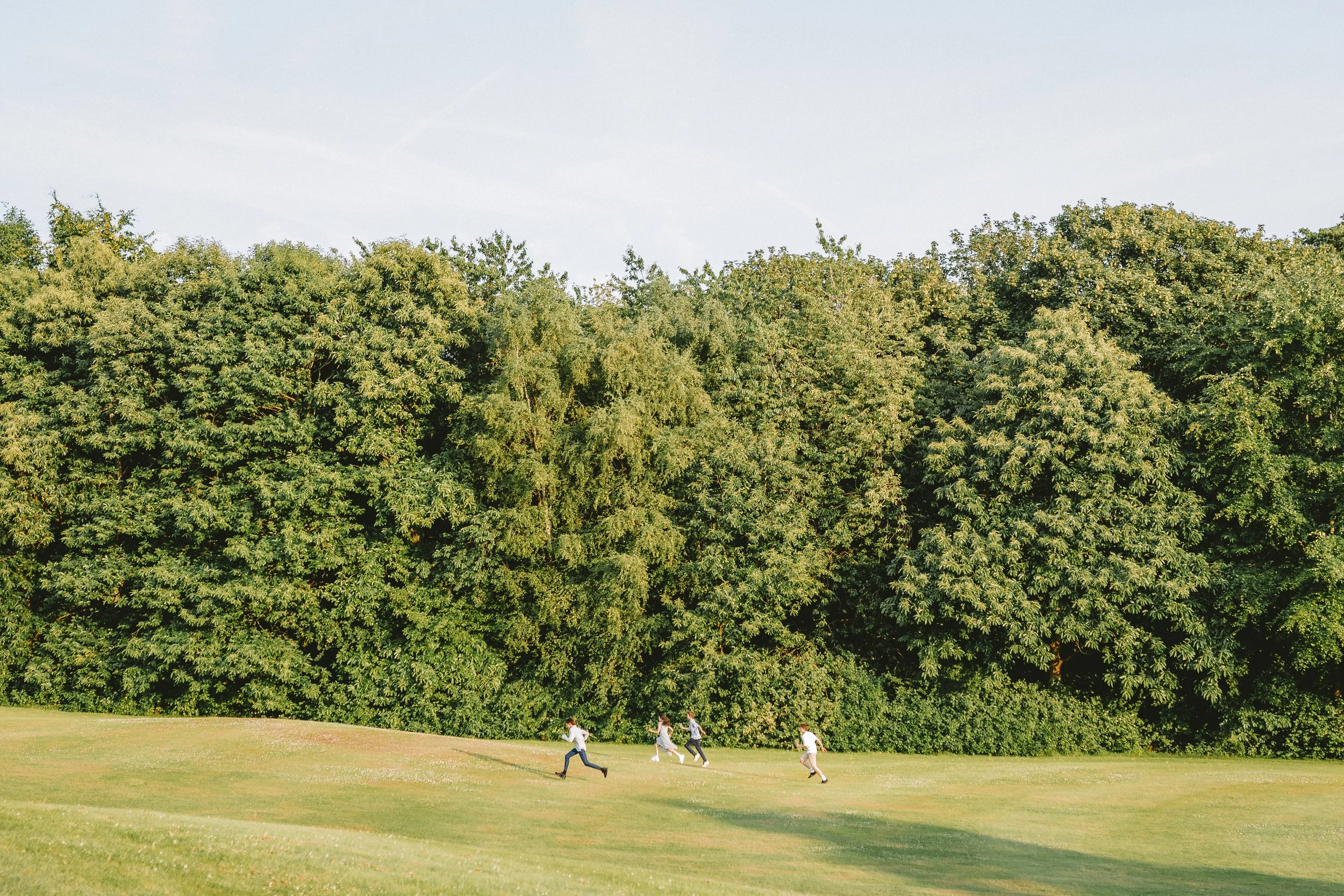 Four children running and playing on a grassy field in front of a large dense green tree.