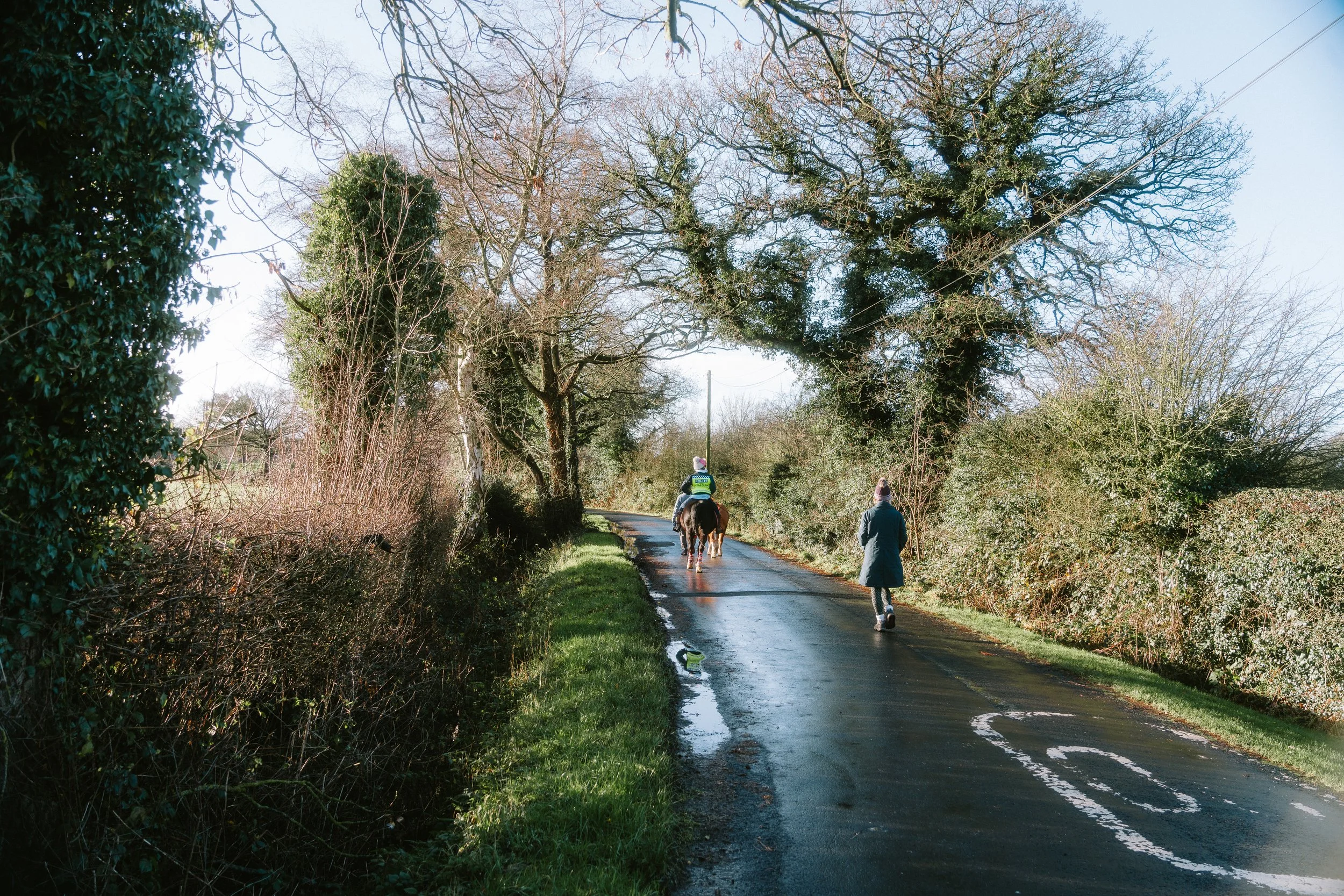 Two people walking with horses on a wet, rural road surrounded by trees, some with no leaves and others with green foliage, under a clear blue sky.