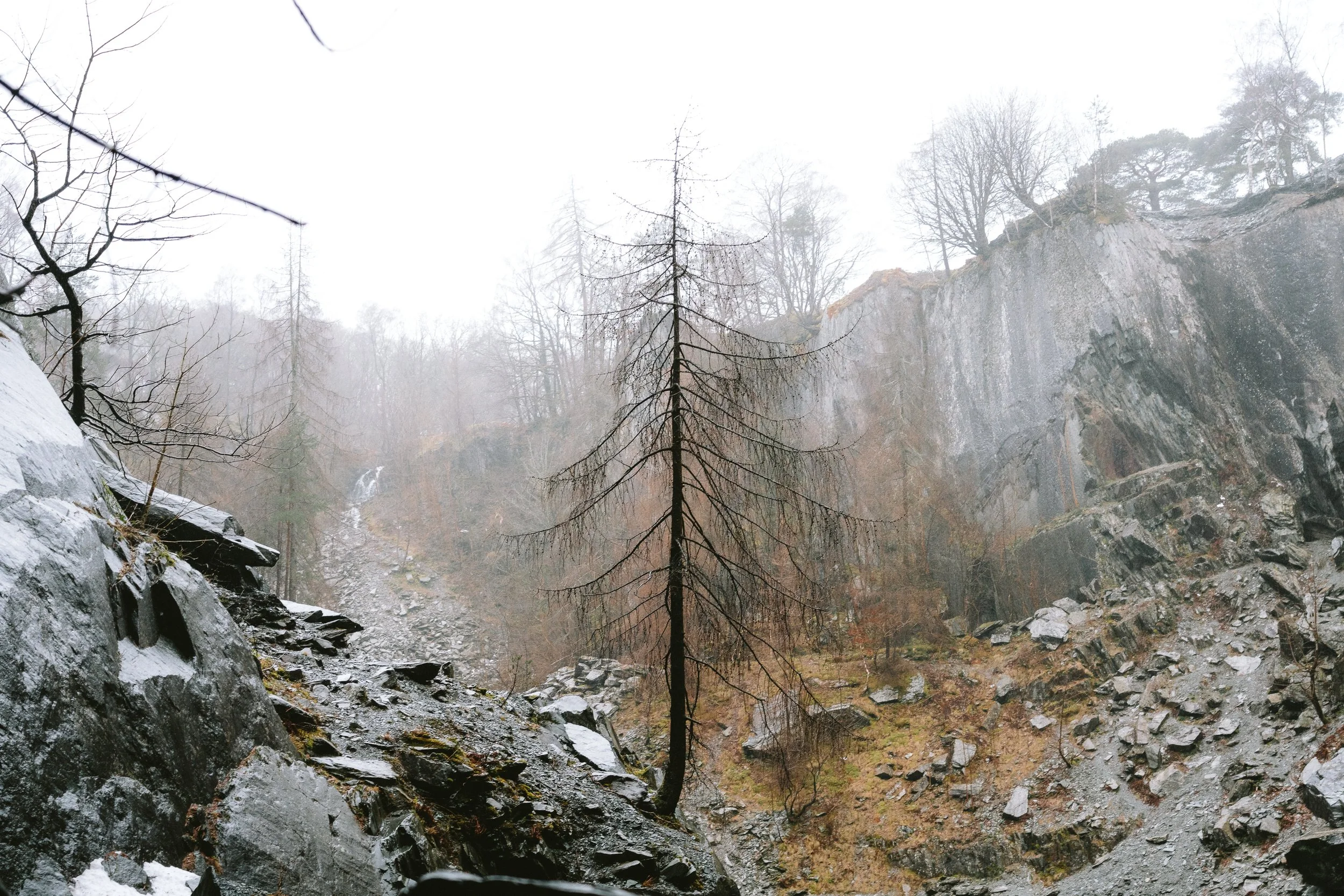 A misty mountain canyon with rocky cliffs, leafless trees, and a small waterfall.