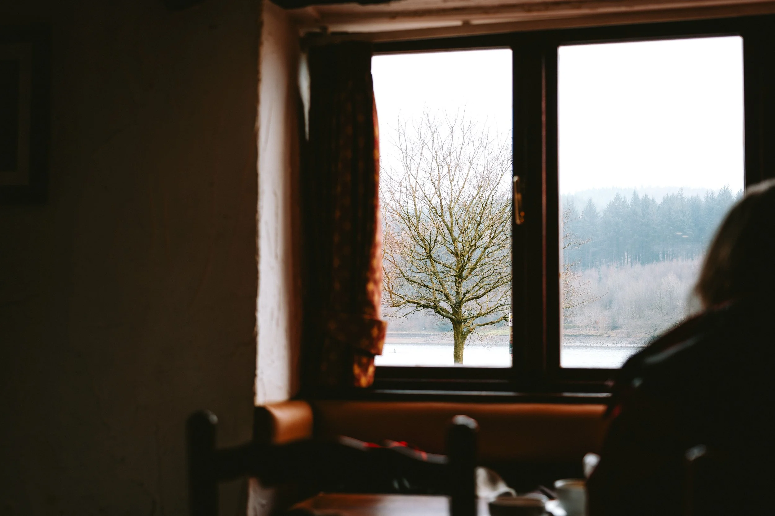 The photo shows the view from a window inside a cozy room with dark curtains. Outside, there is a leafless tree in the foreground and a range of distant trees and hills in the background, under a cloudy sky.