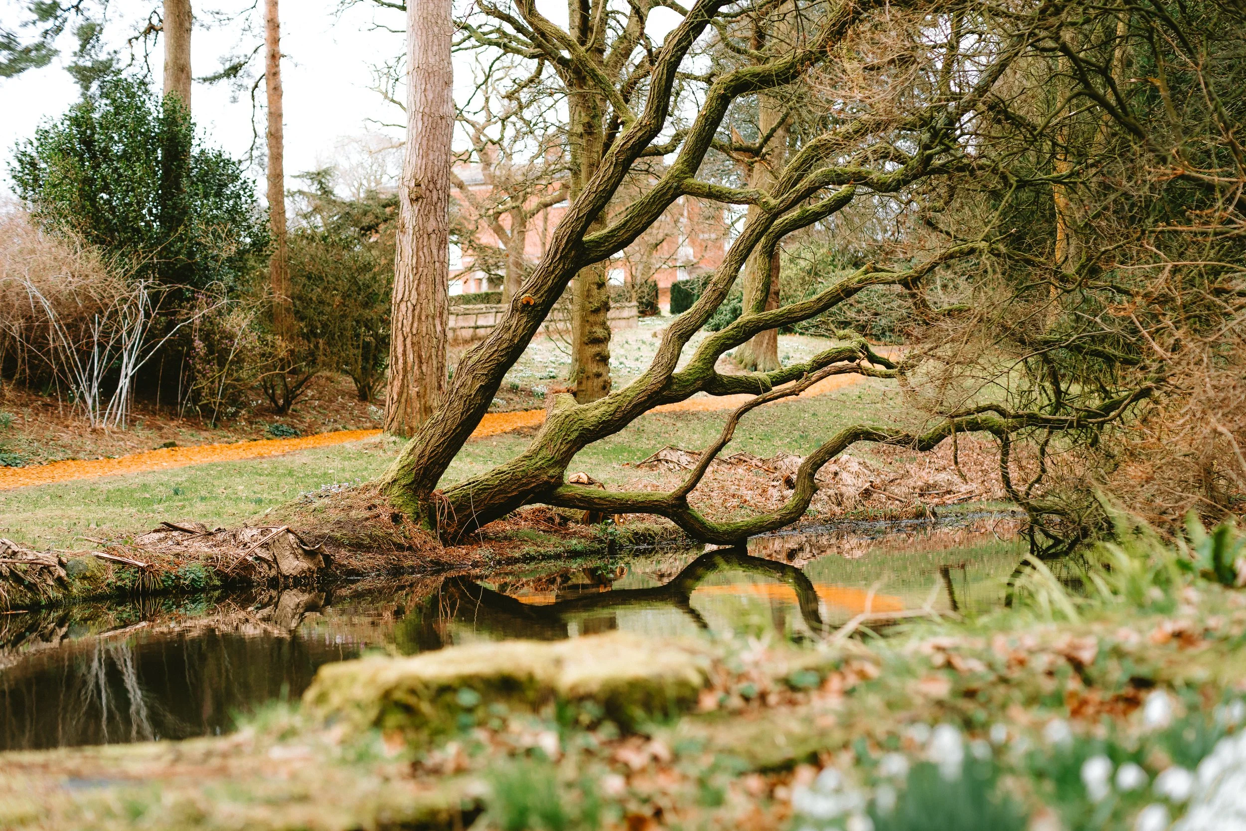 A small rowboat is moored along the bank of a calm river, surrounded by leafless trees and bushes in a park during winter or early spring.
